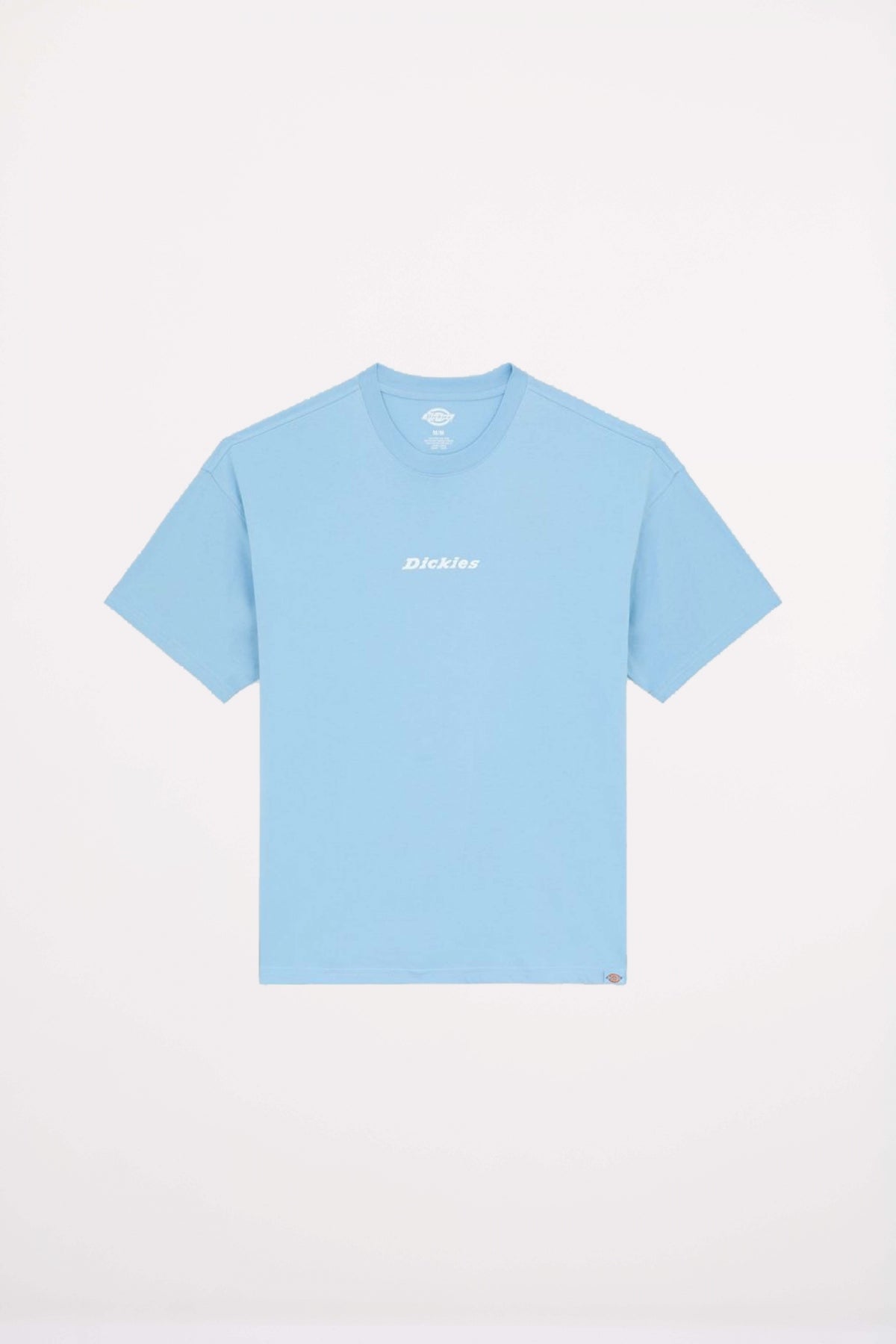 DICKIES ENTERPRISE en color AZUL  (2)