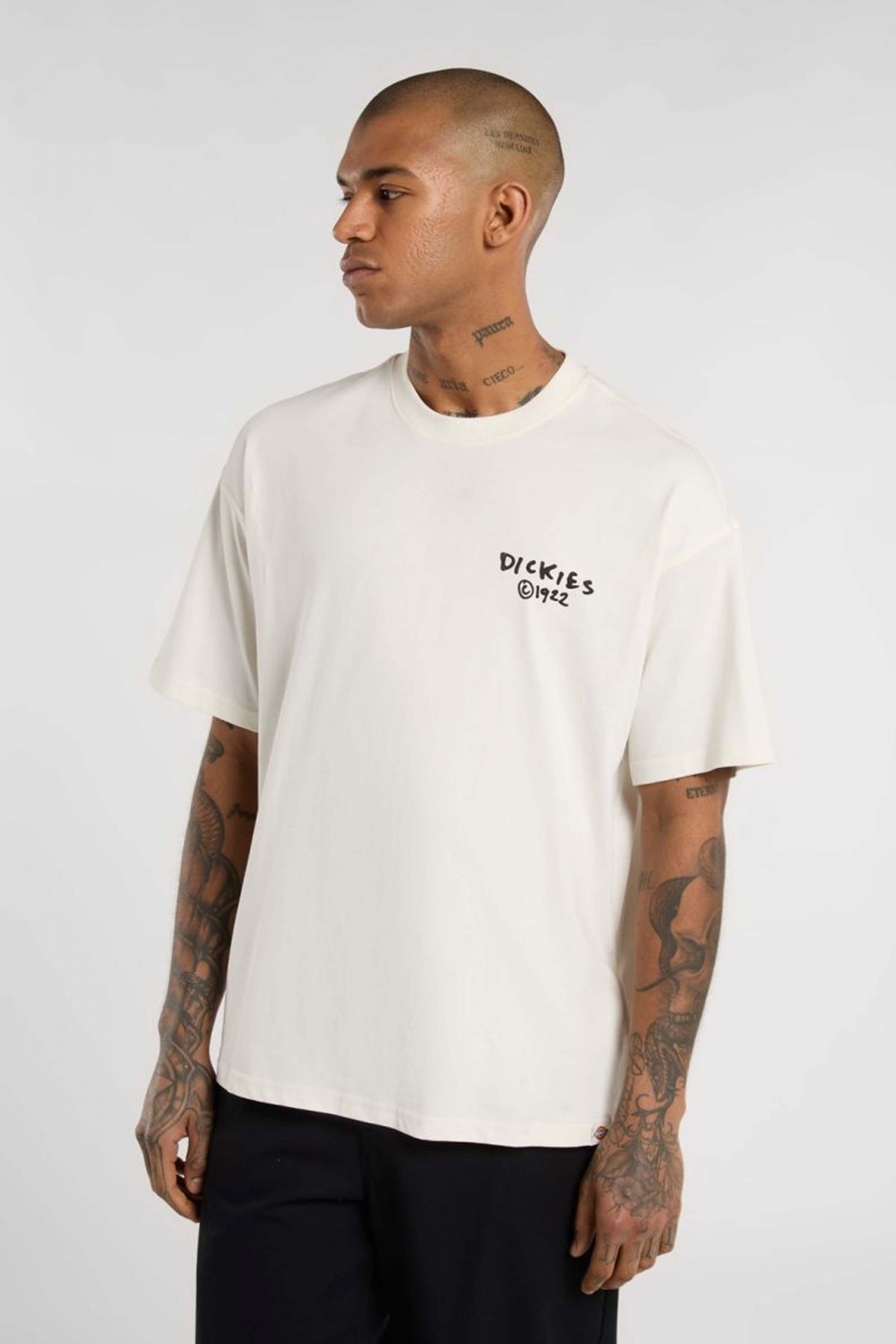 DICKIES  SNEEDVILLE  en color BLANCO  (1)