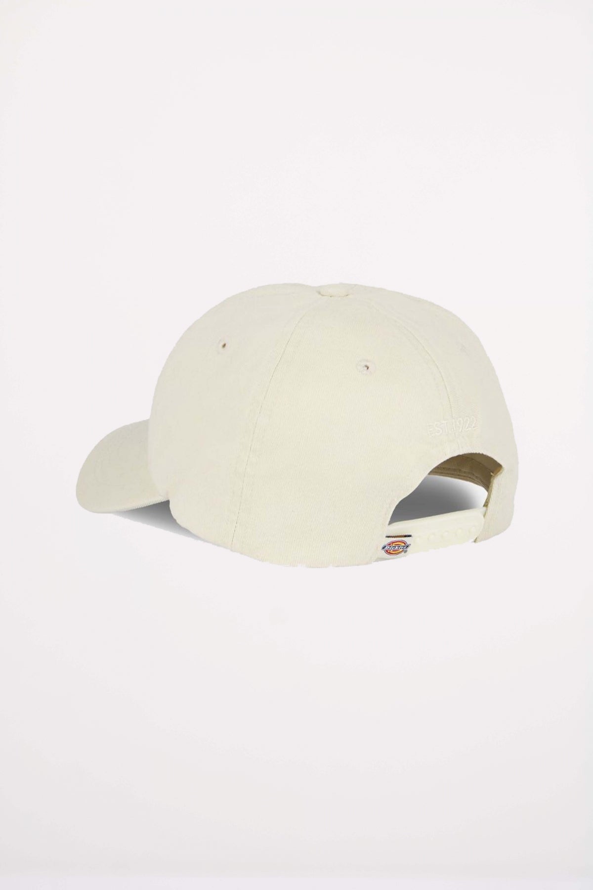 DICKIES HARDWICK en color BEIS  (2)