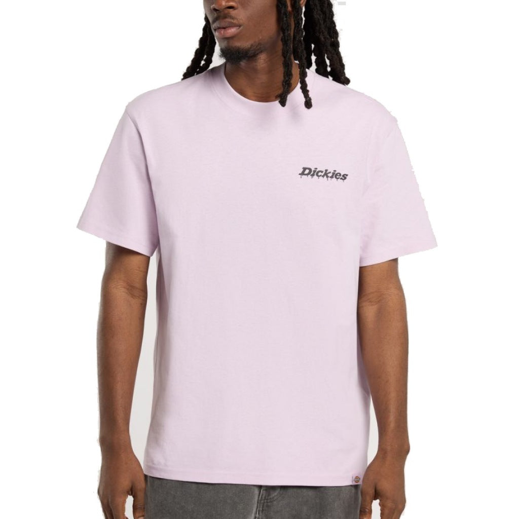 DICKIES  STATESVILLE TEE  en color ROSA  (2)