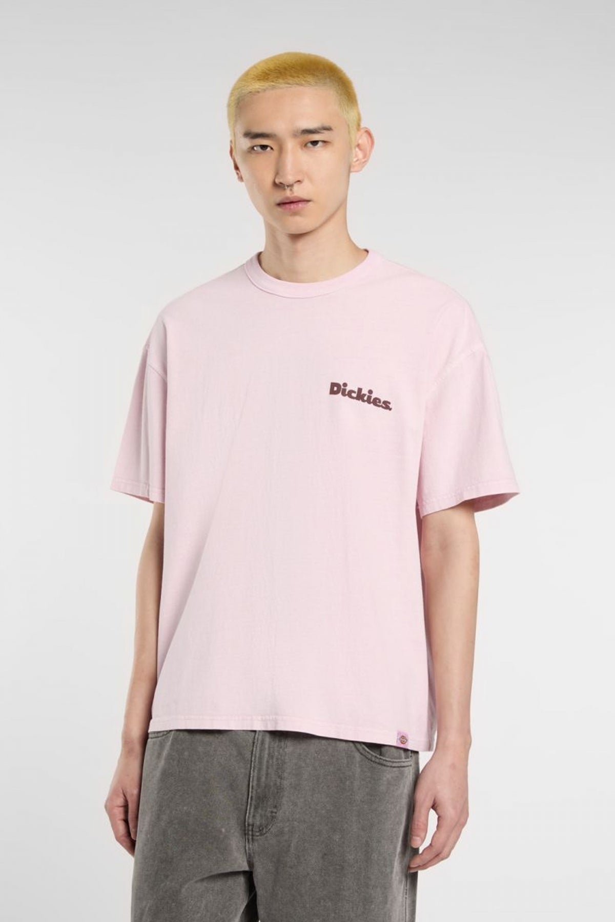 DICKIES SLAYDEN GD TEE en color ROSA  (1)