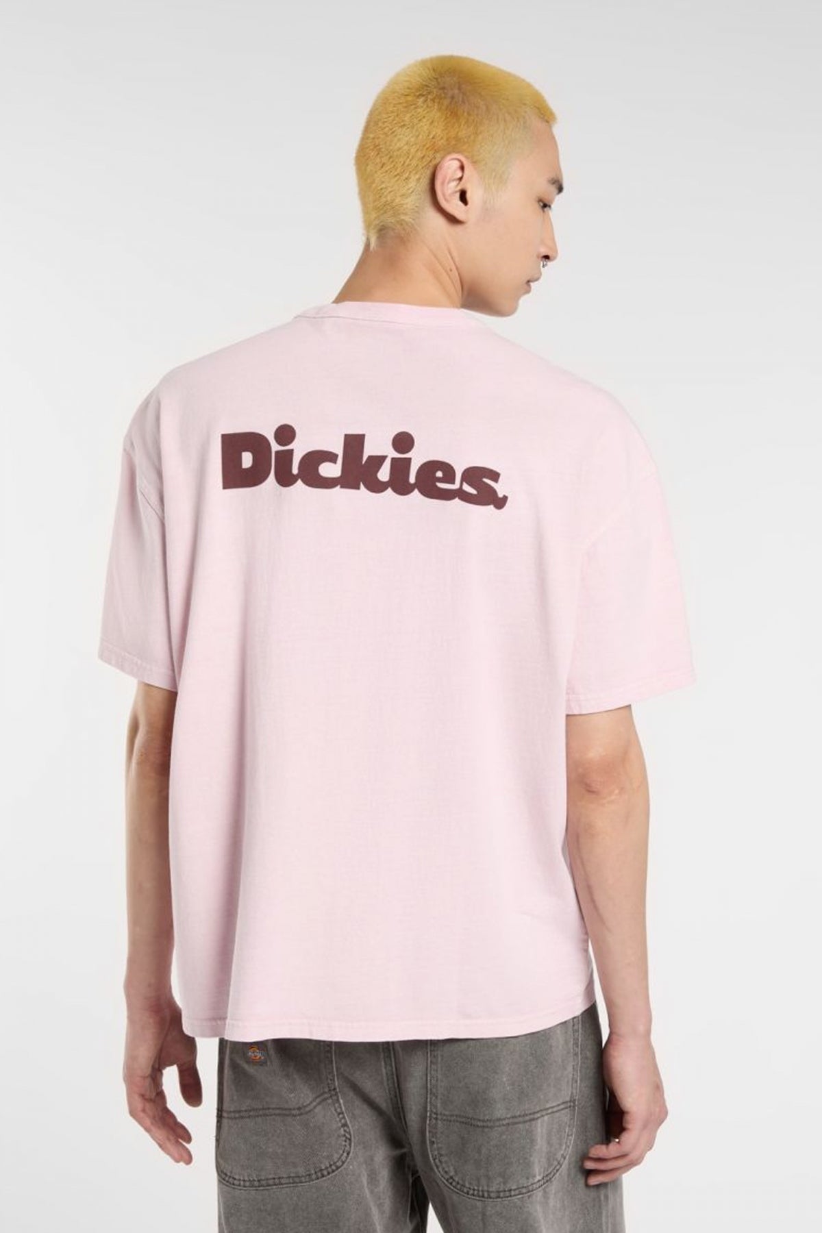 DICKIES SLAYDEN GD TEE en color ROSA  (3)