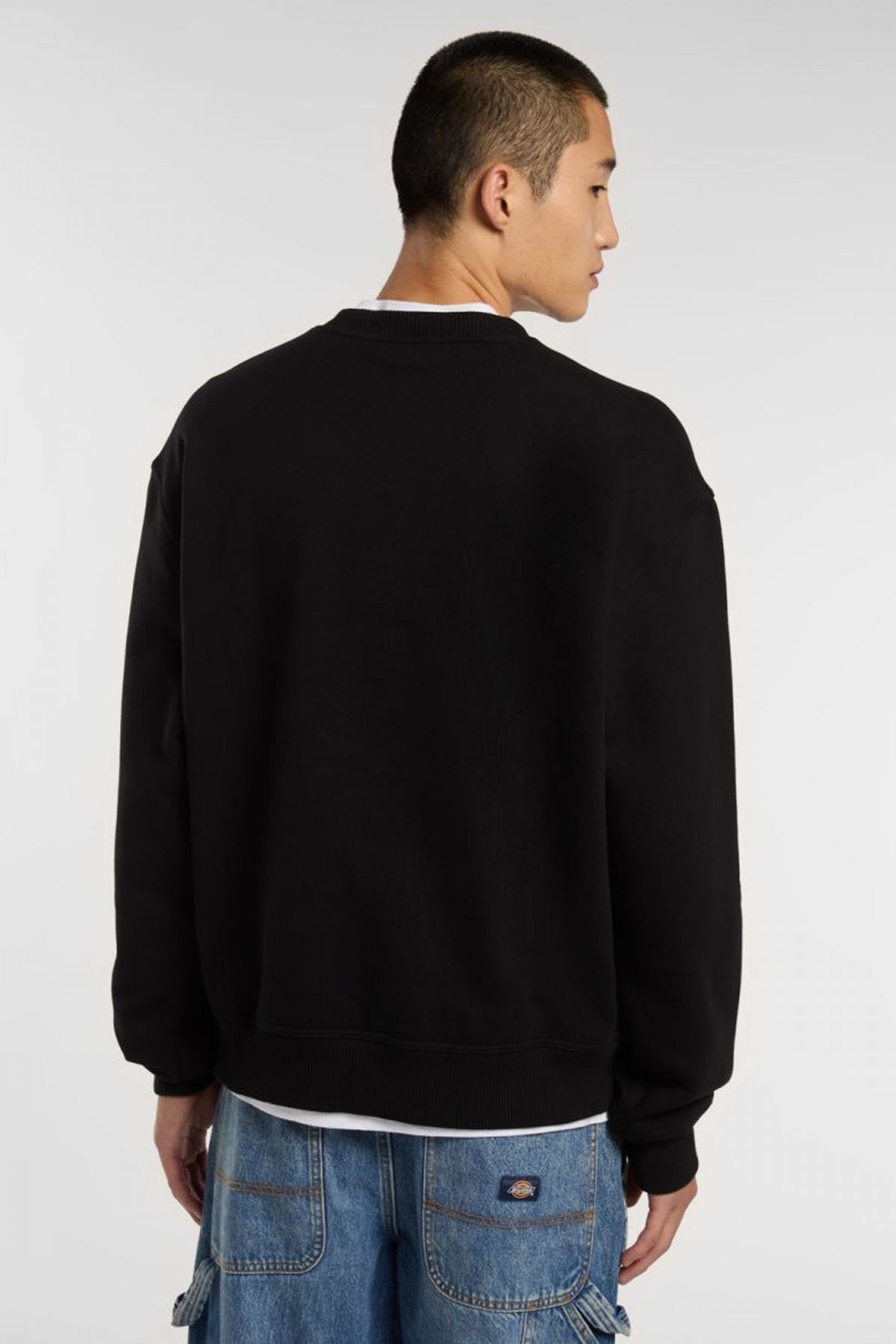 DICKIES  en color NEGRO  (3)