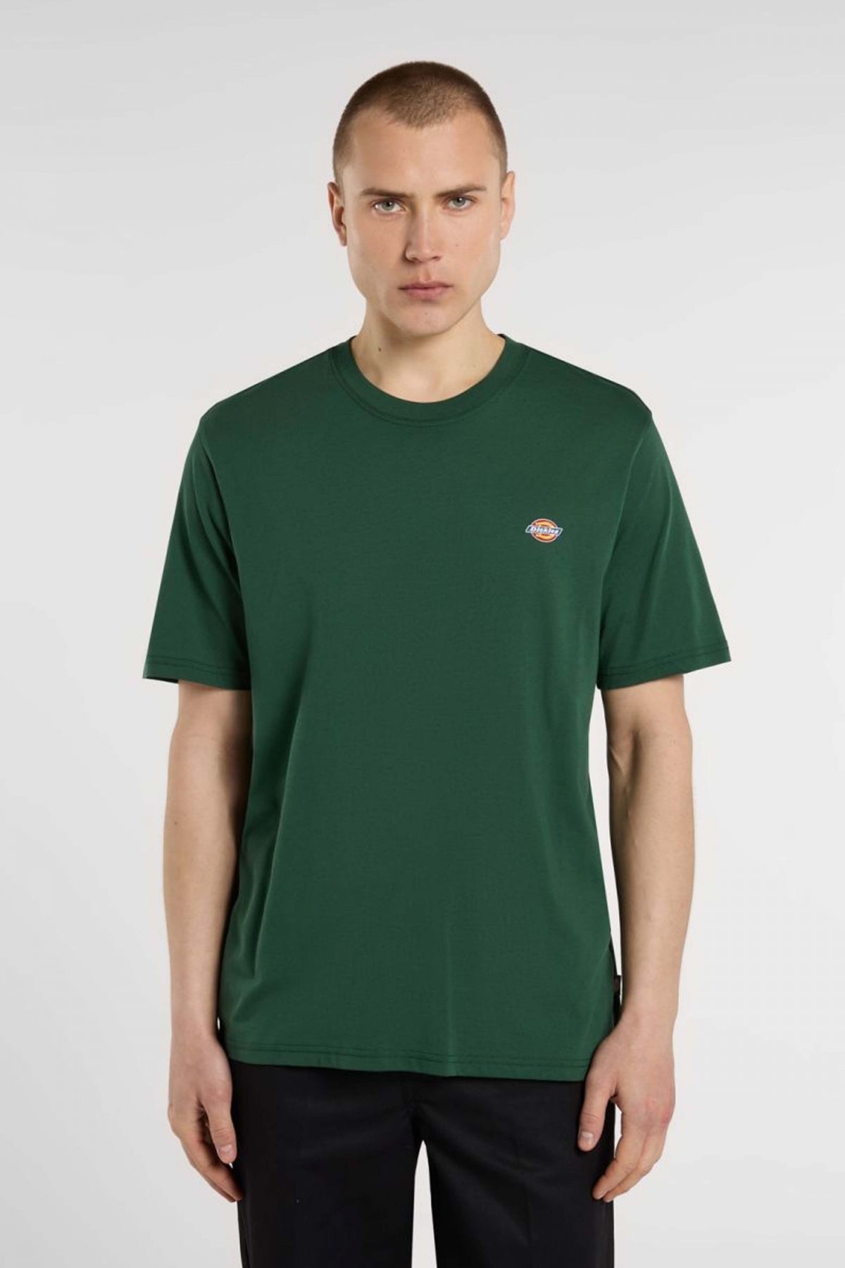 DICKIES MAPLETON SS TEE en color VERDE  (1)