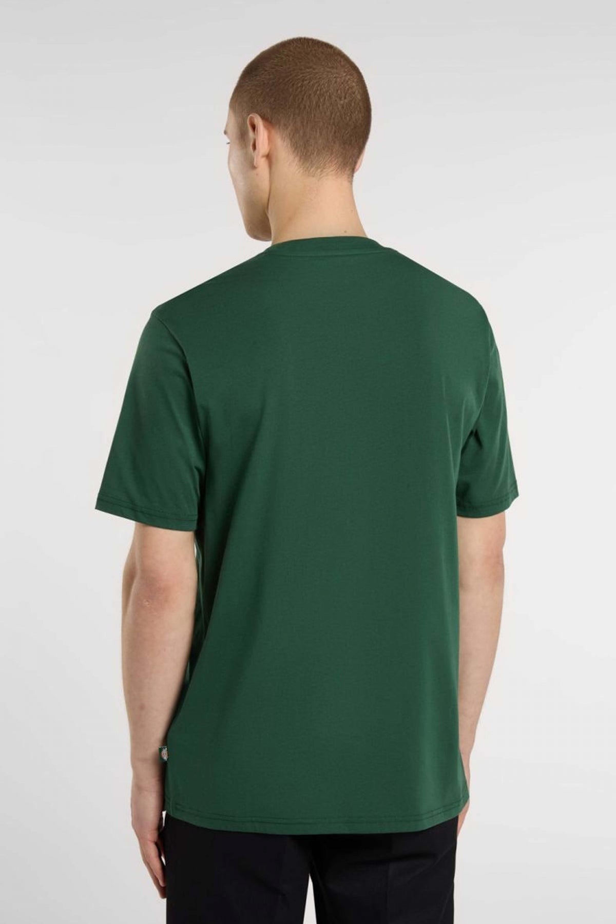 DICKIES MAPLETON SS TEE en color VERDE  (3)