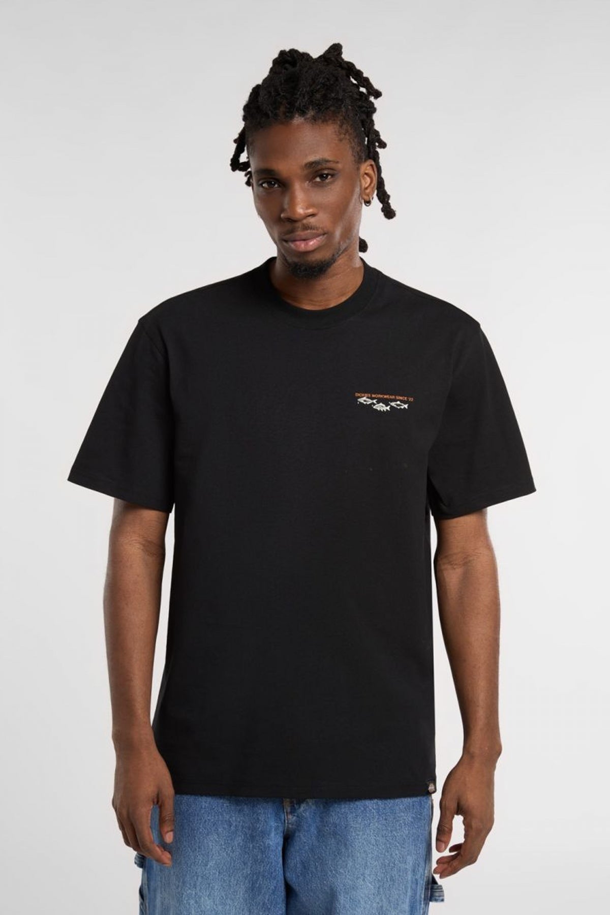 DICKIES  en color NEGRO  (1)