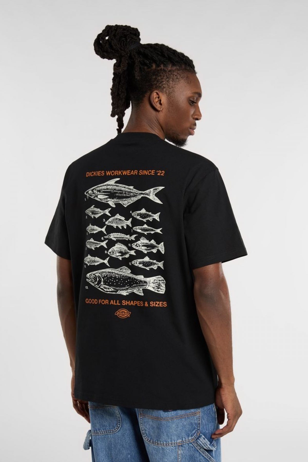 DICKIES  en color NEGRO  (3)