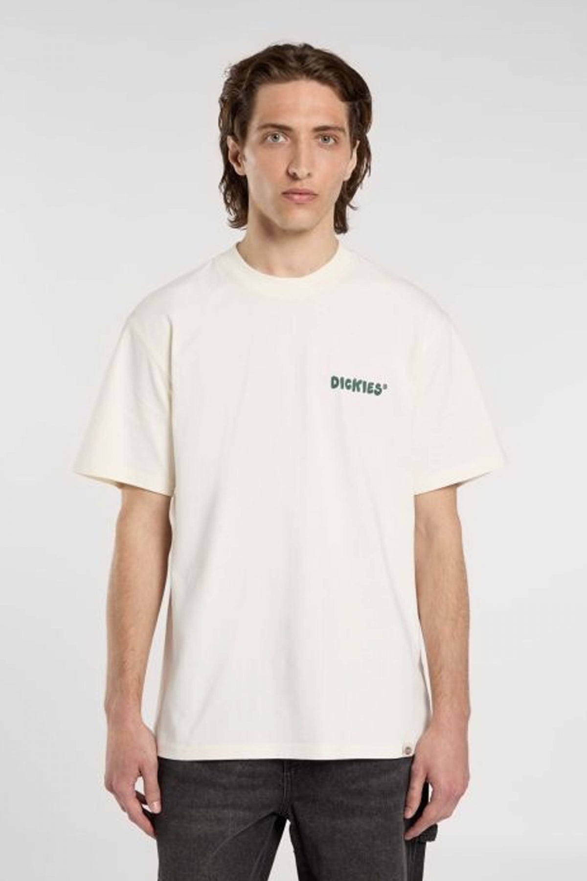 DICKIES GORDONSVILLE en color BLANCO  (1)