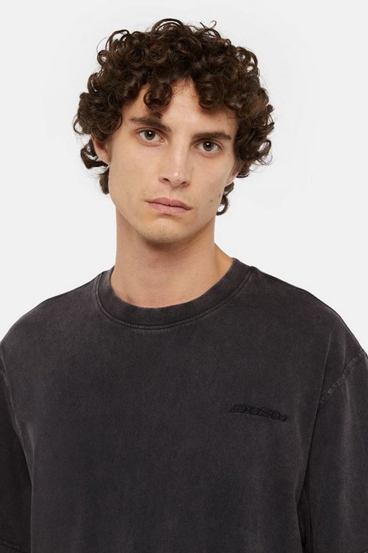 DICKIES PLENTYWOOD en color MARRON  (3)