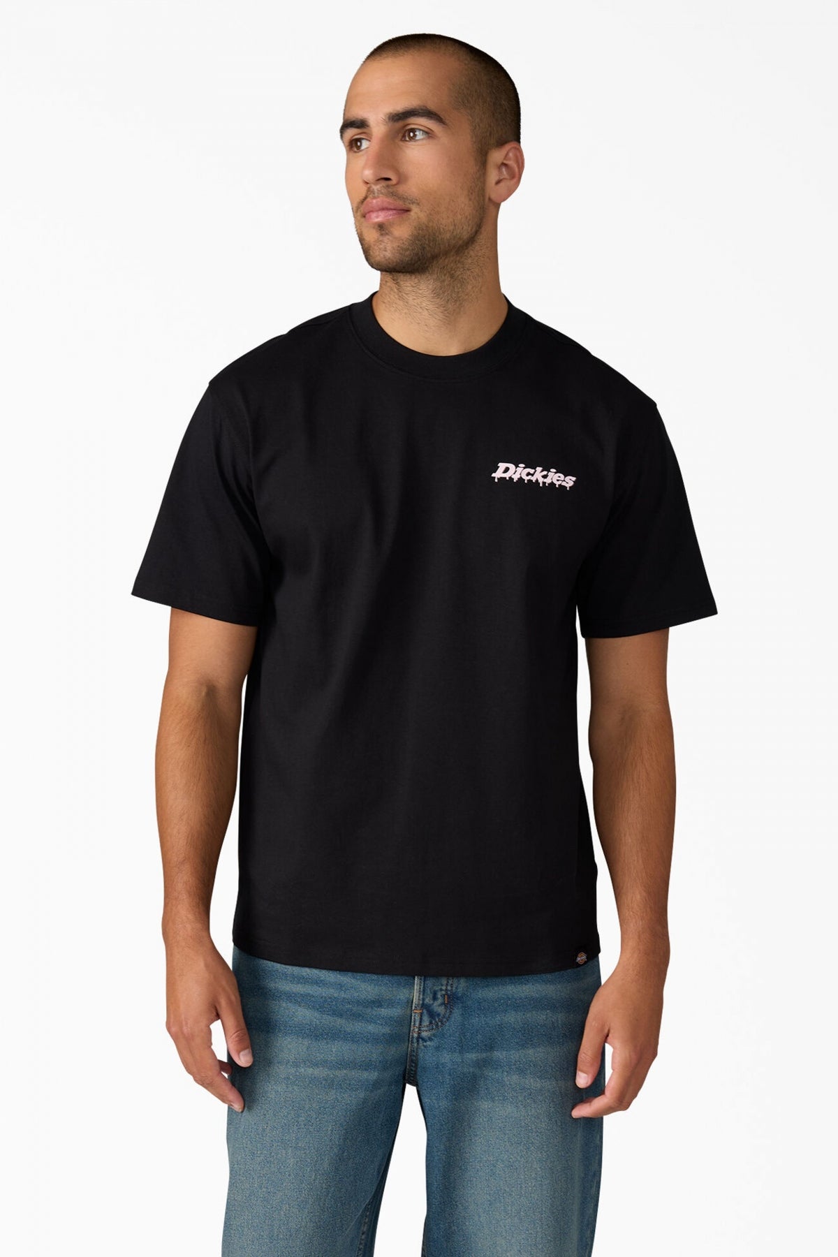 DICKIES STATESVILLE en color NEGRO  (1)