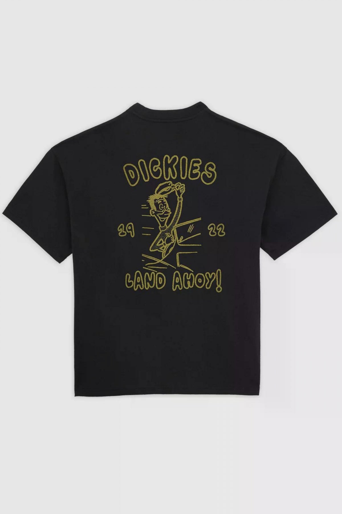 DICKIES DECARTUVILLE en color NEGRO  (2)