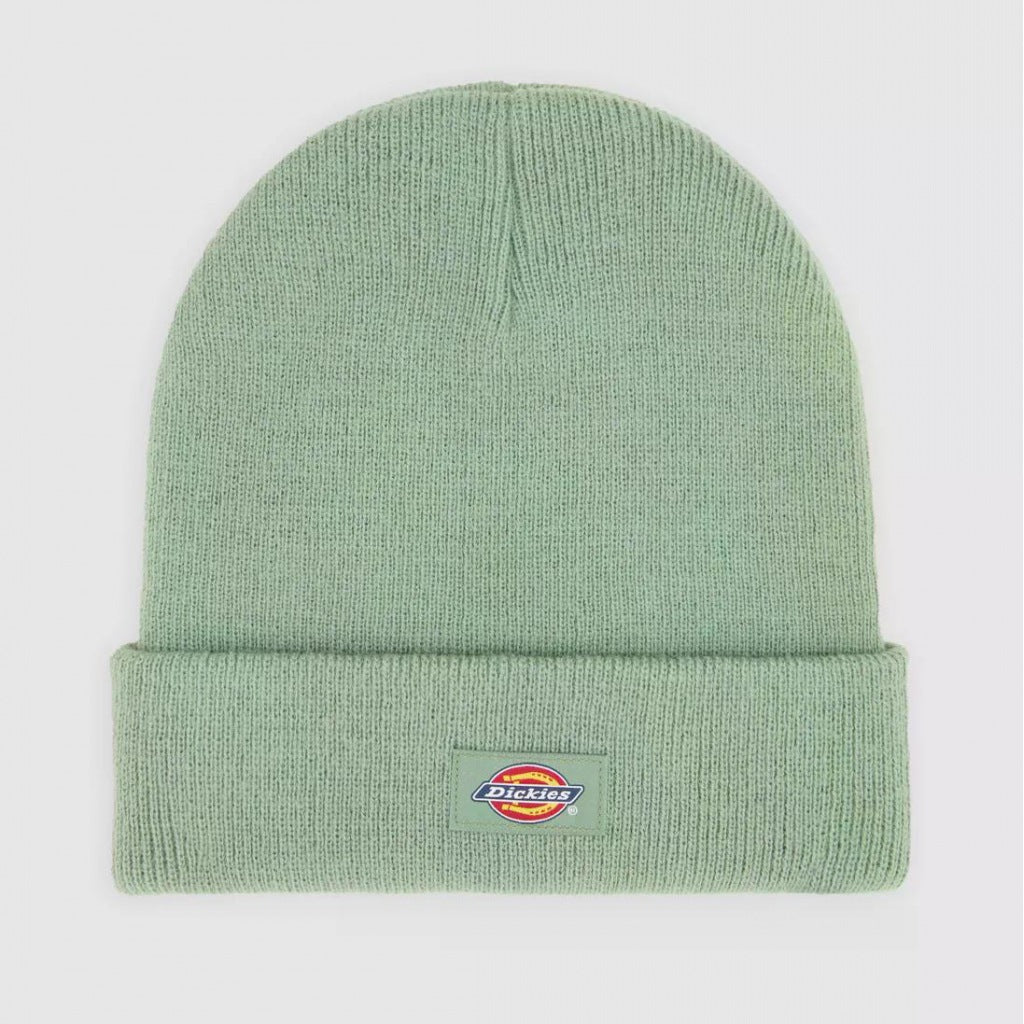 DICKIES GIBSLAND en color VERDE  (4)