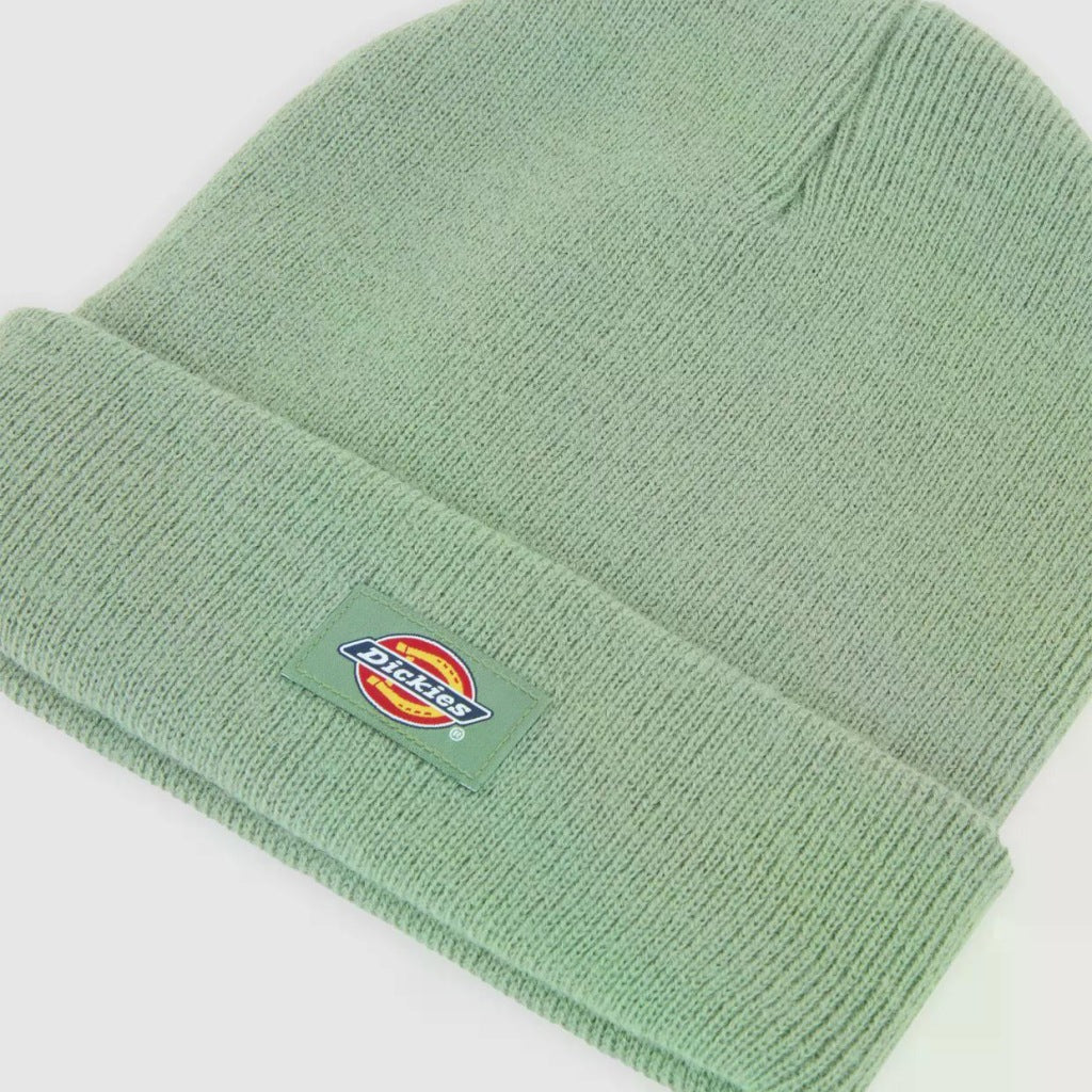 DICKIES GIBSLAND en color VERDE  (6)
