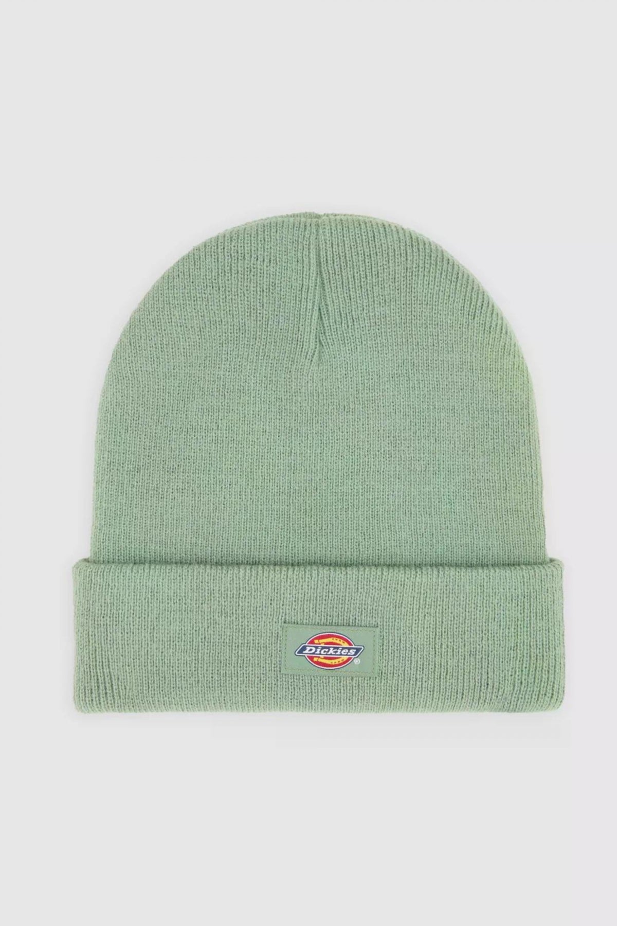DICKIES GIBSLAND en color VERDE  (1)