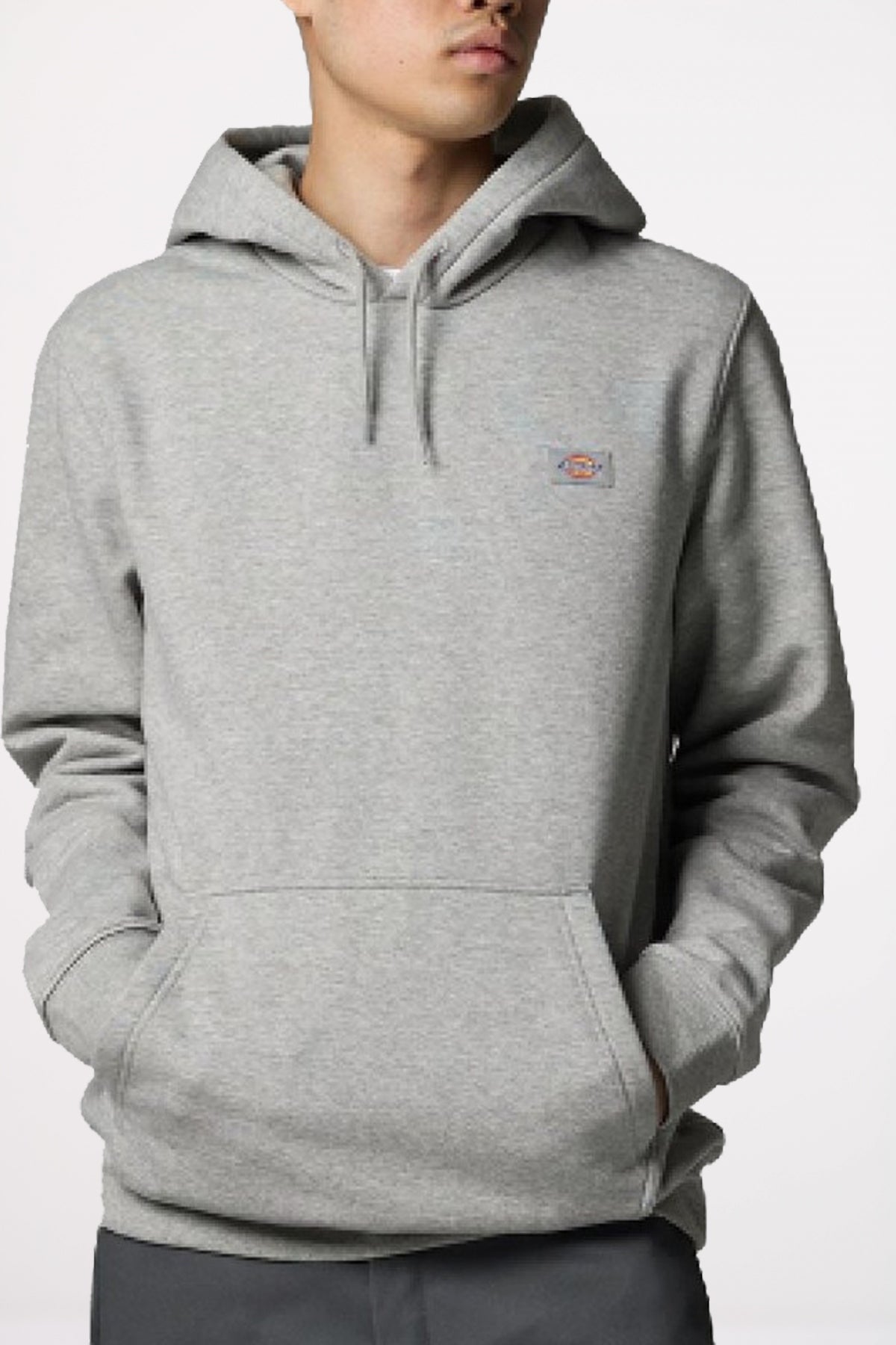 DICKIES OAKPORT HOODIE en color GRIS  (1)