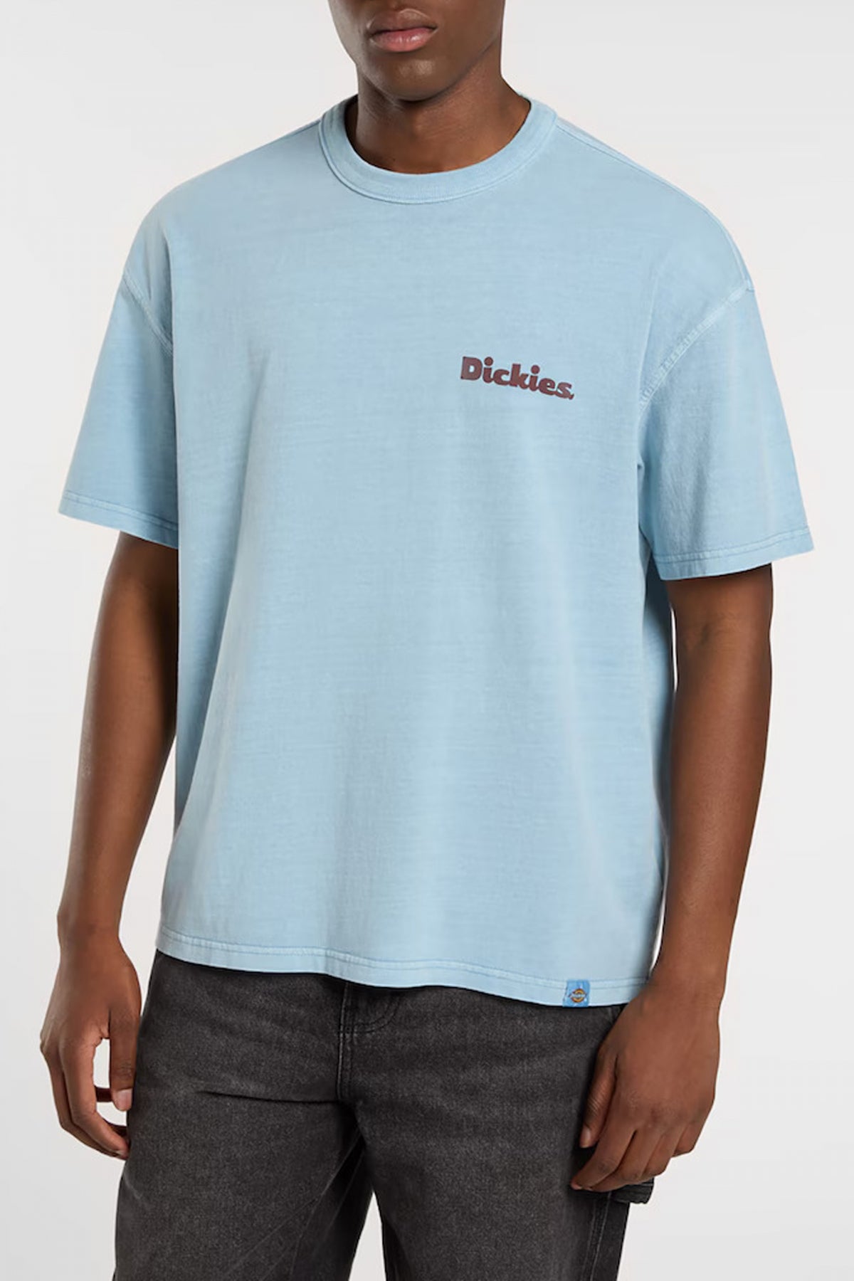 DICKIES SLAYDEN GD en color AZUL  (1)