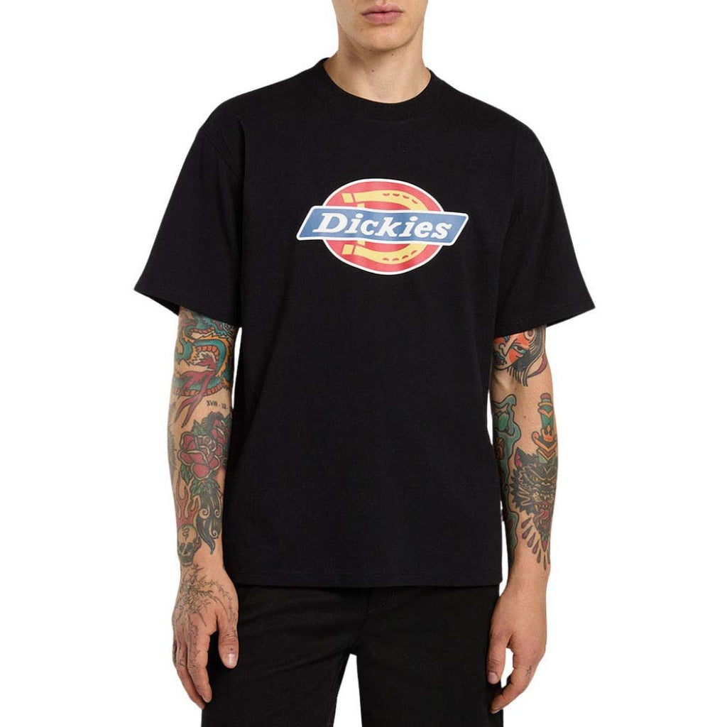 DICKIES DKAFGBLK en color NEGRO  (4)