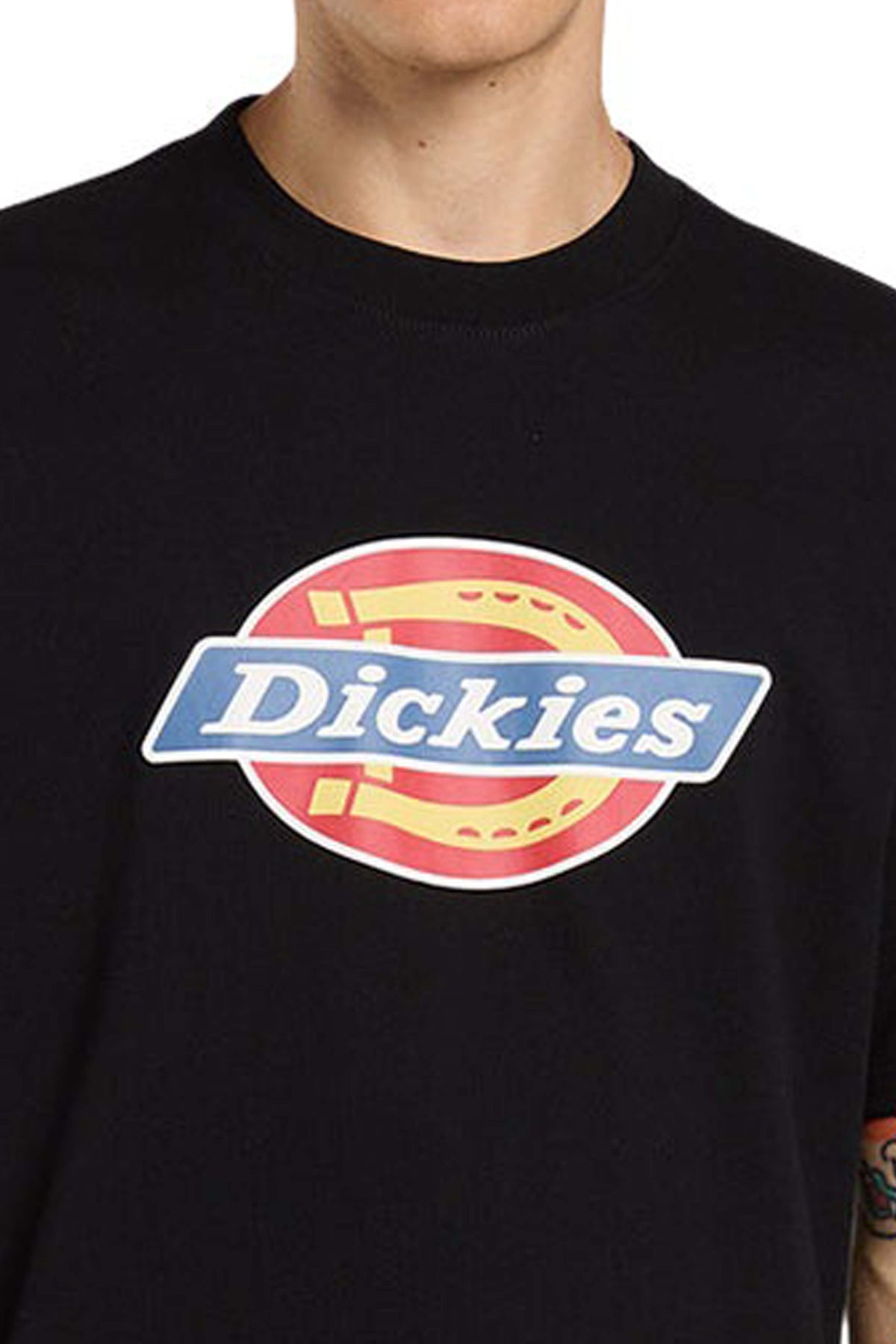 DICKIES DKAFGBLK en color NEGRO  (2)