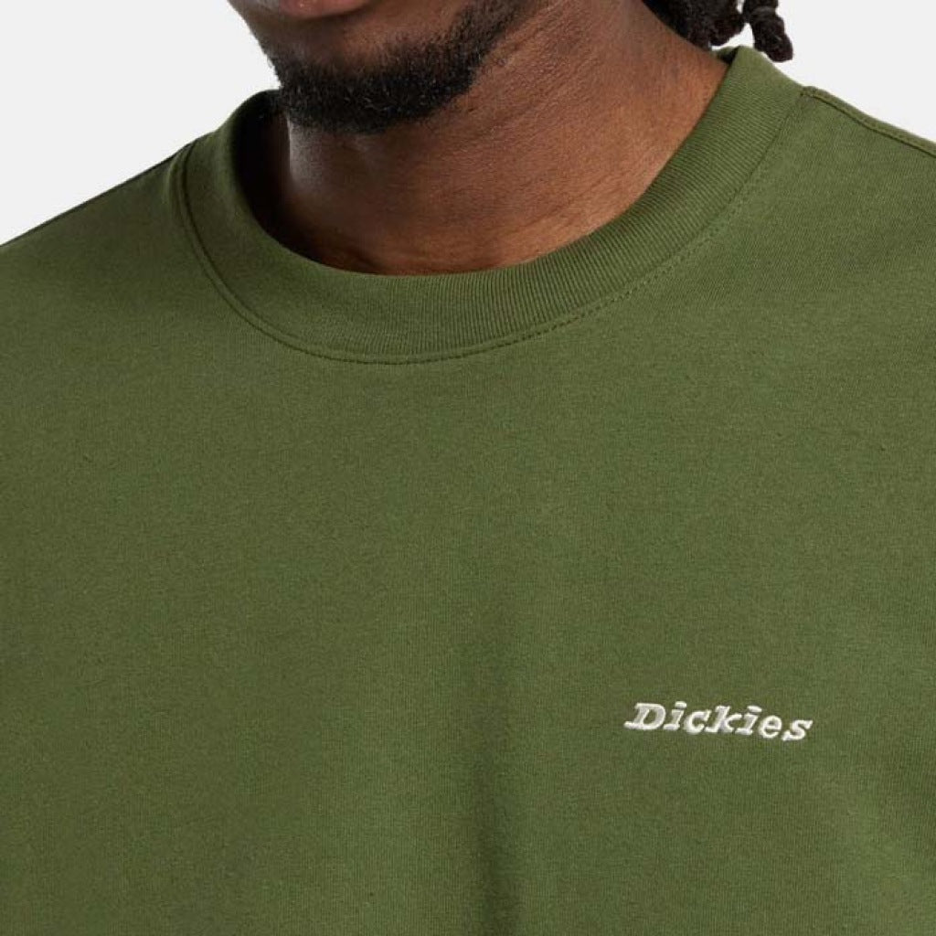 DICKIES DKAENK en color VERDE  (6)