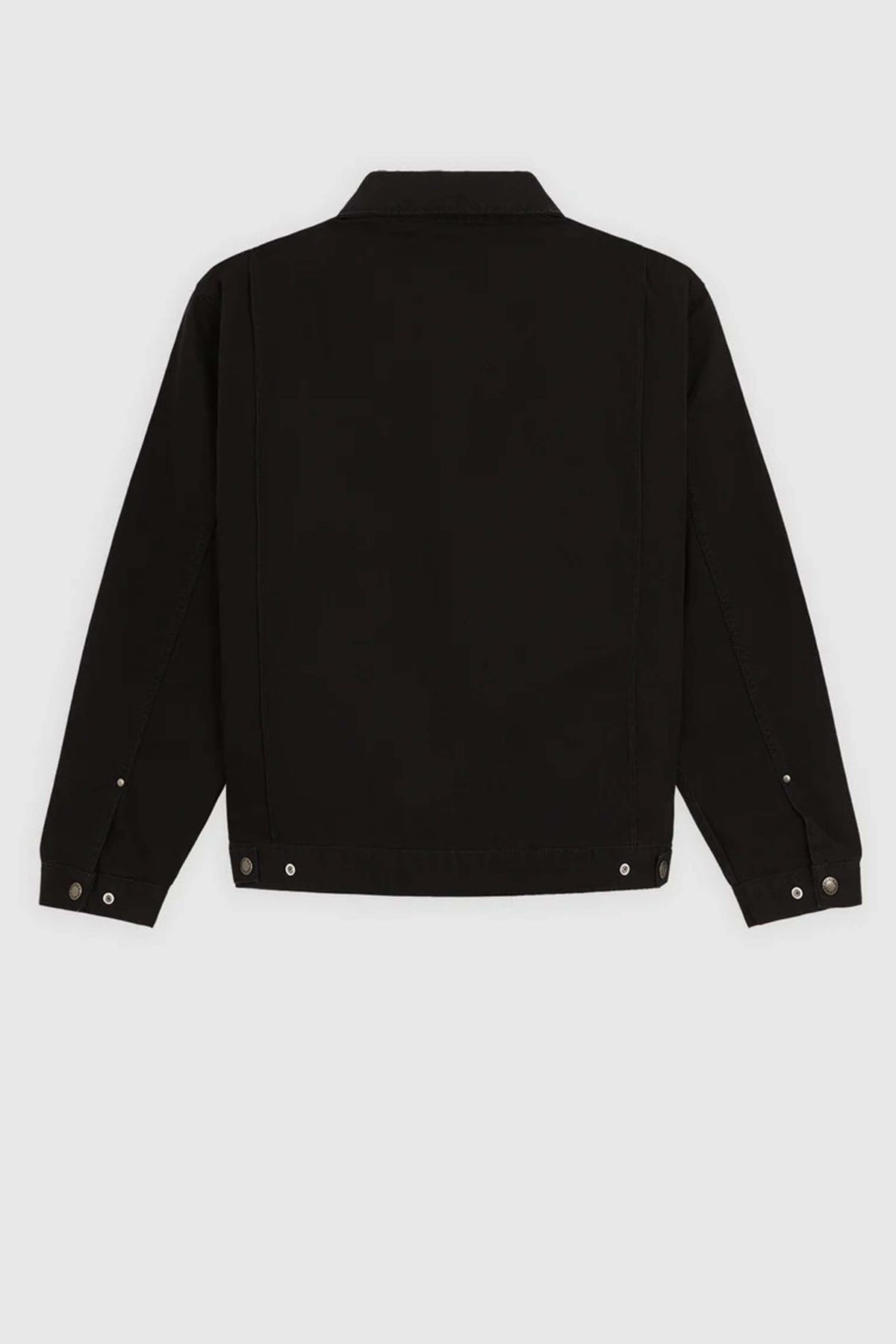 DICKIES DKAGQBLK en color NEGRO  (4)