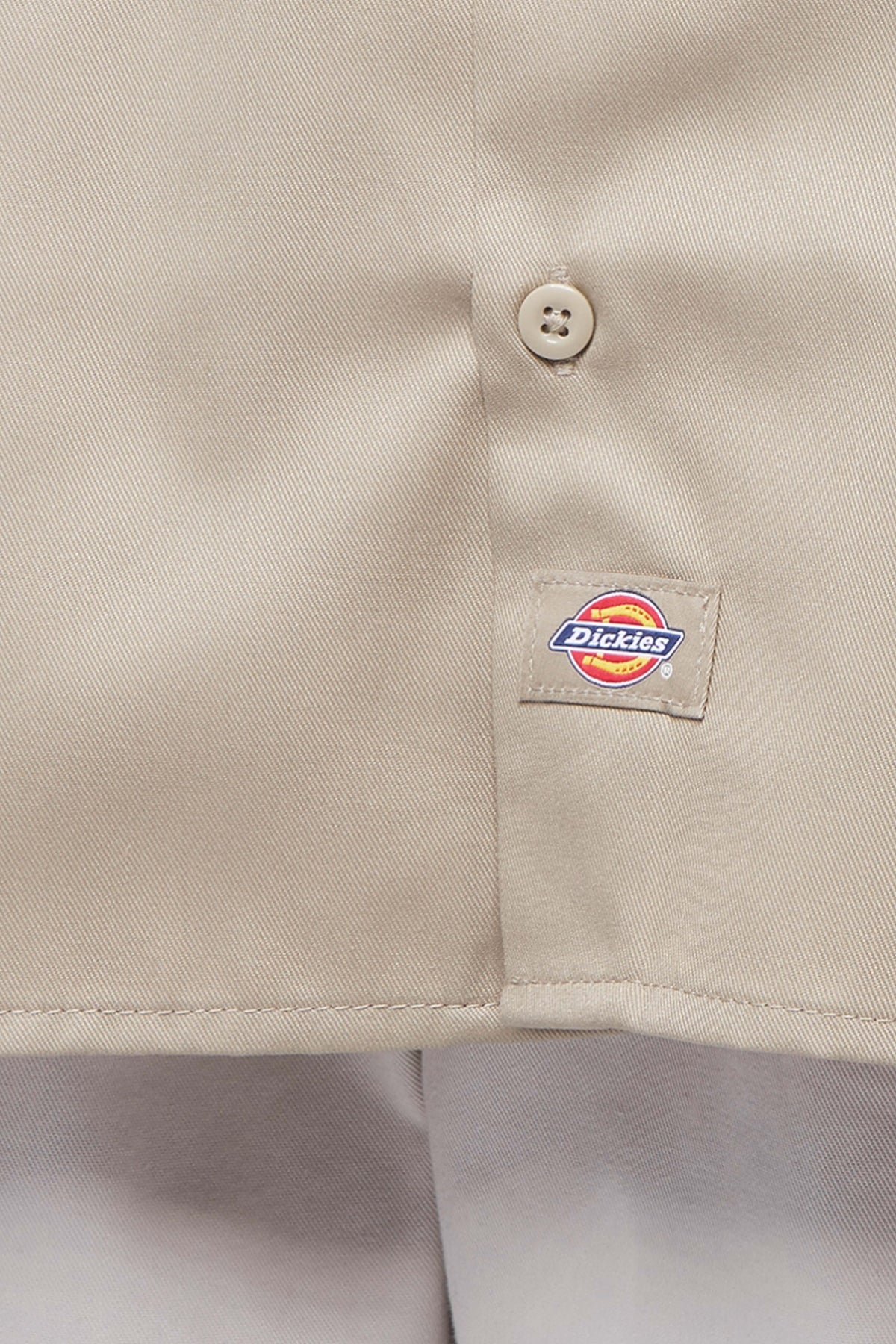 DICKIES DKAXKKHK en color VERDE  (3)