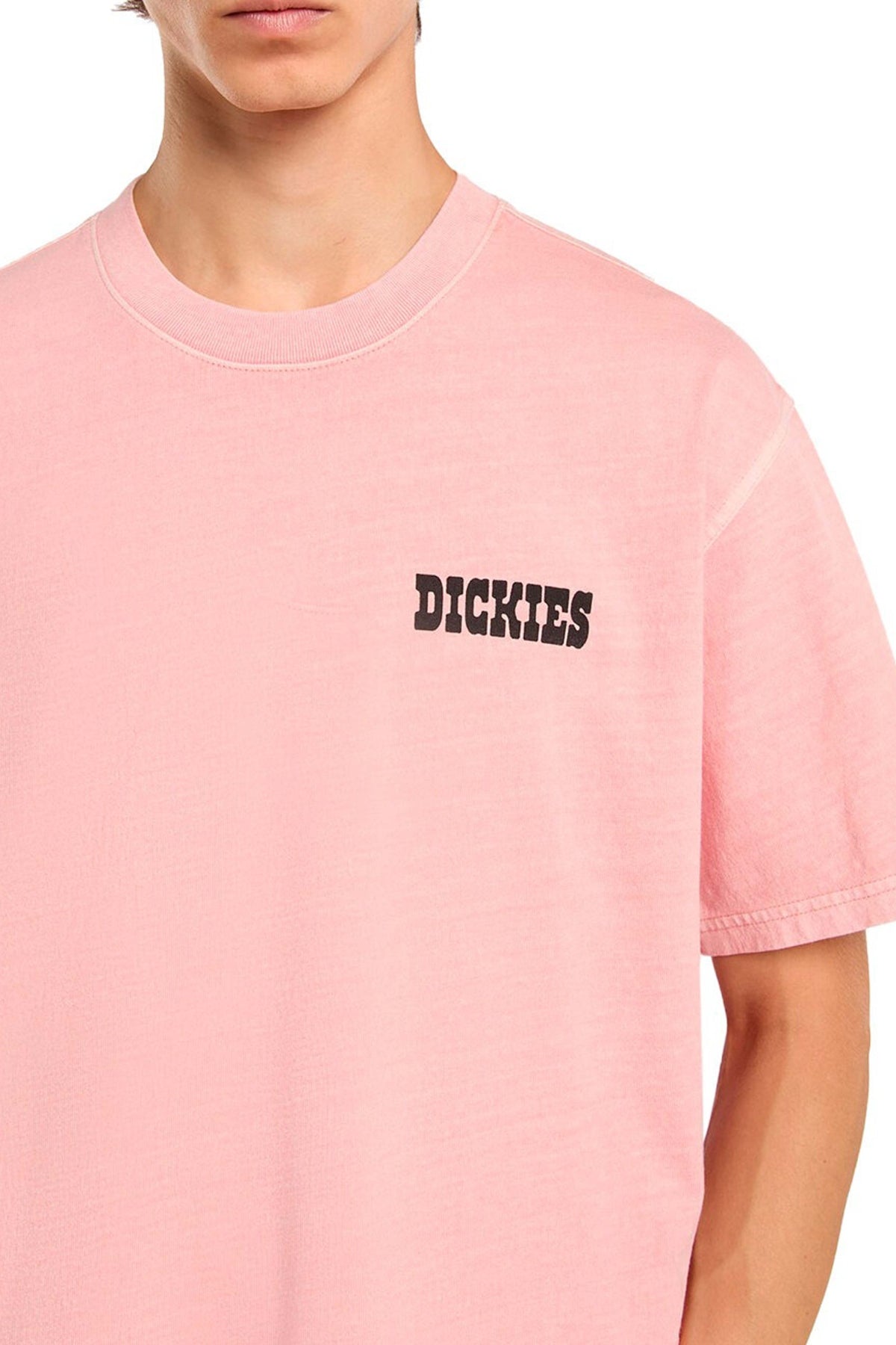 DICKIES DKABL  en color ROSA  (3)