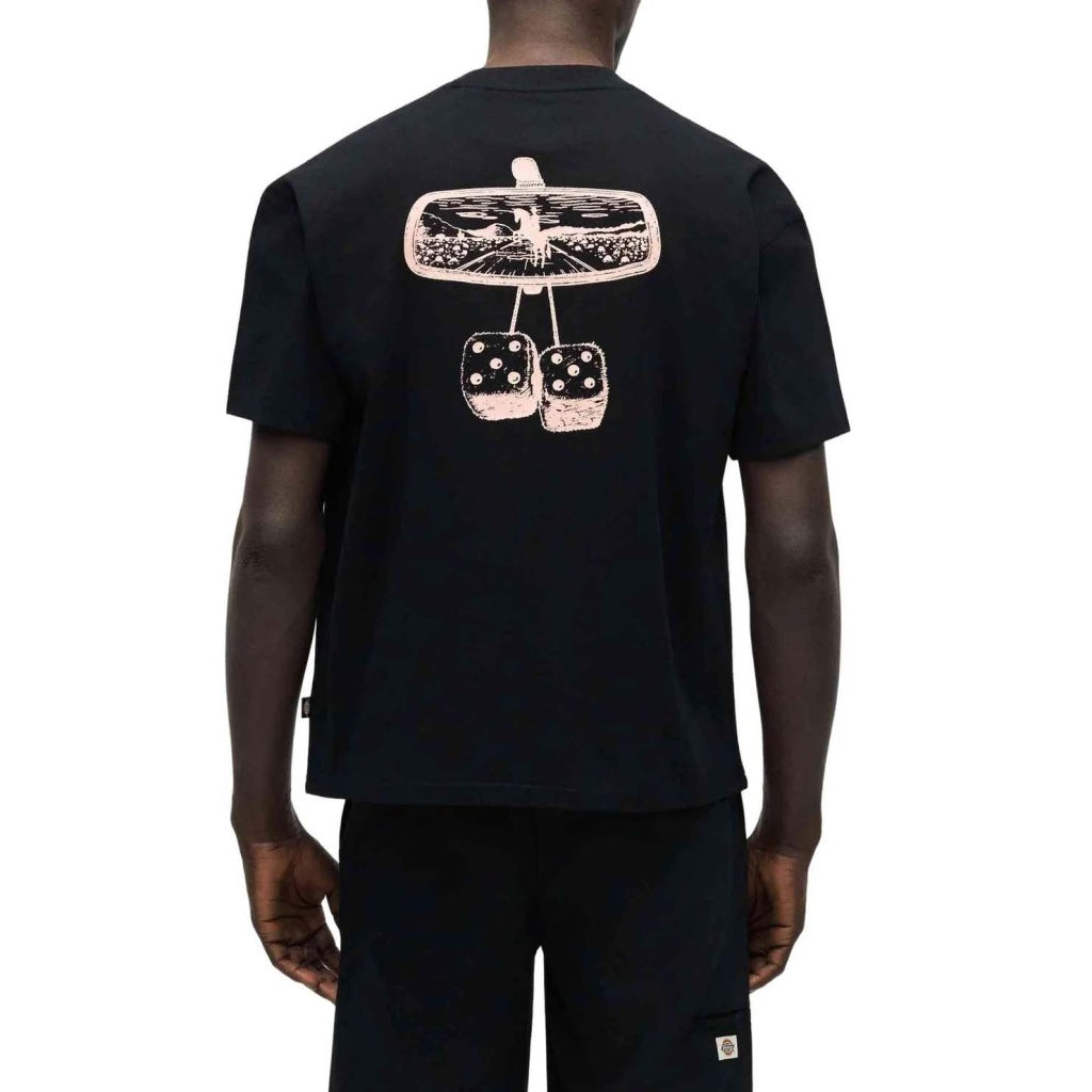 DICKIES DKAGOBLK en color NEGRO  (5)