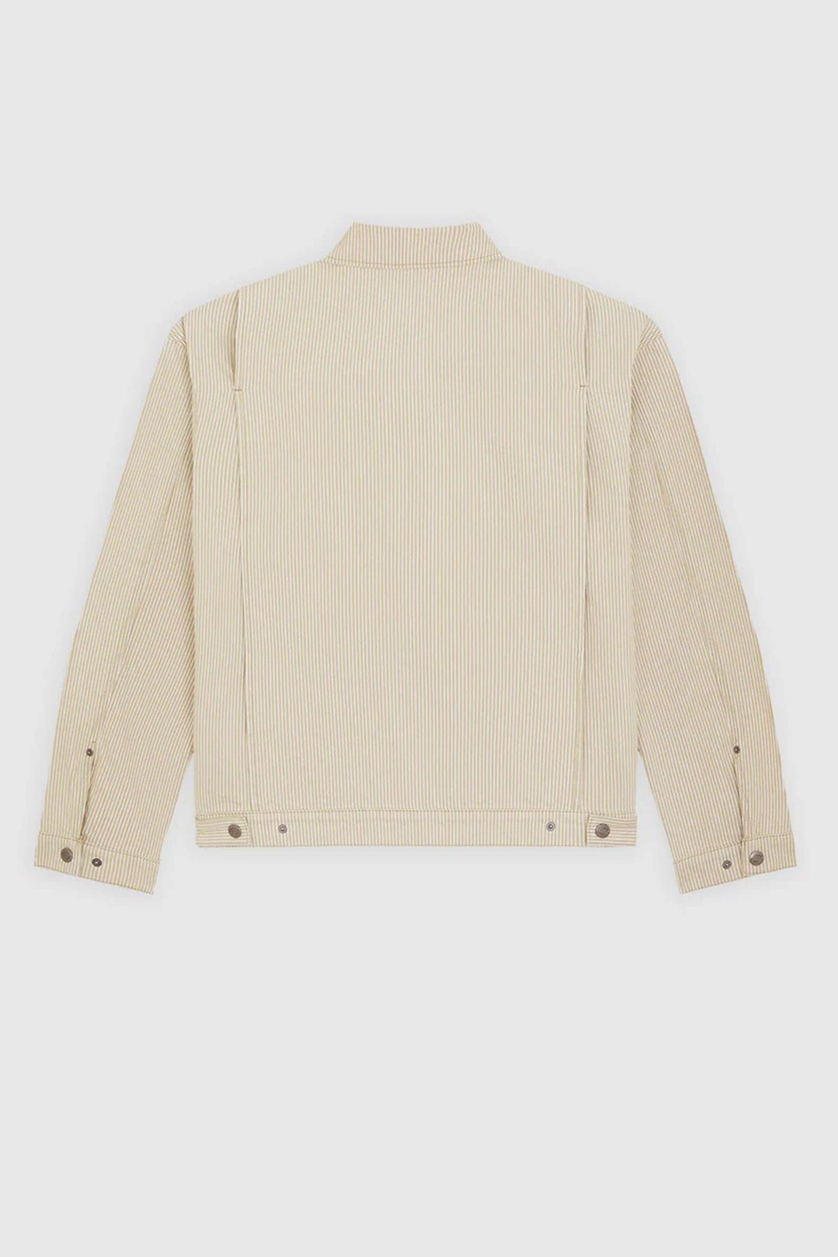 DICKIES DKAKL  en color BEIS  (4)