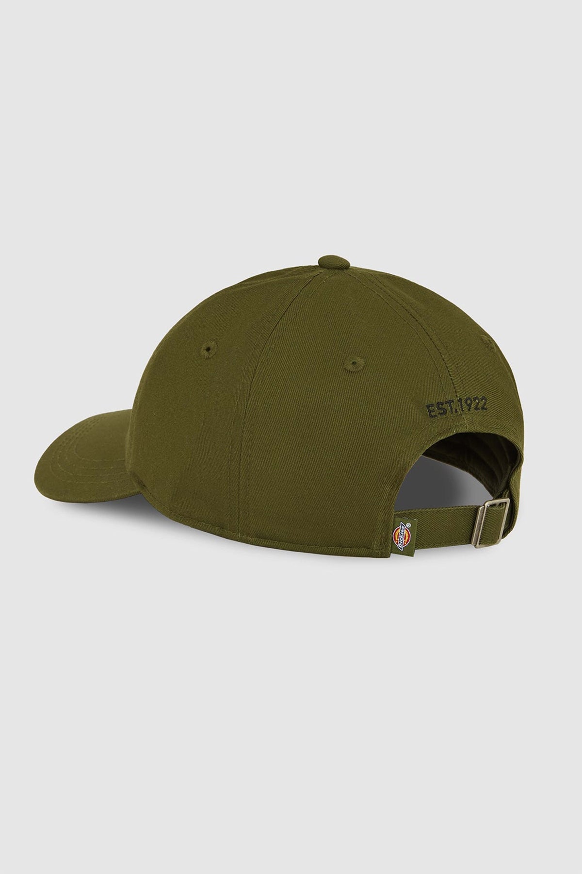 DICKIES DKAZNK  en color VERDE  (4)