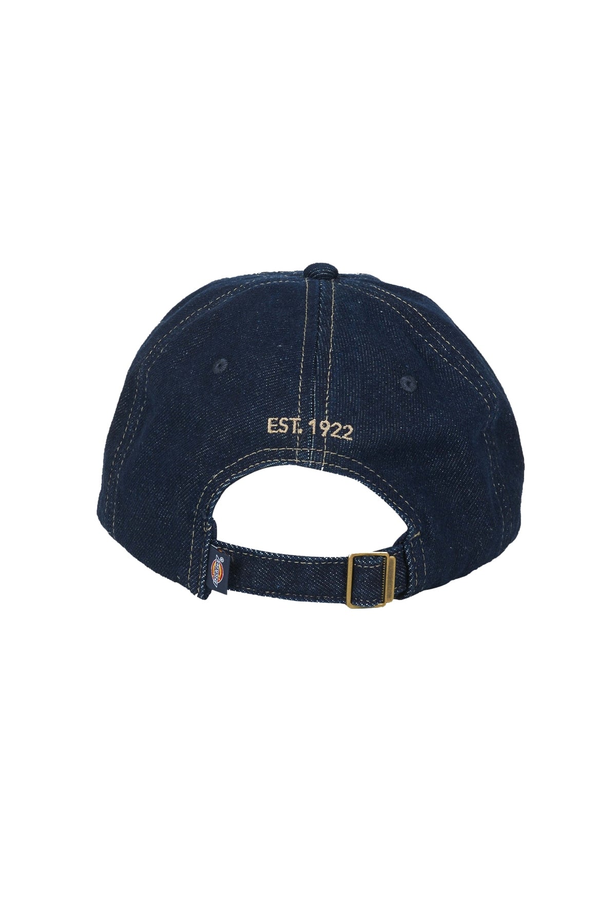 DICKIES DKAHRIN  en color AZUL  (2)