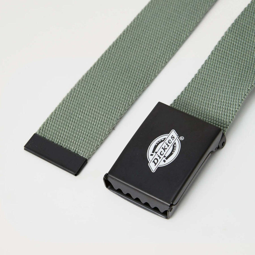 DICKIES DKAXEL  en color VERDE  (6)