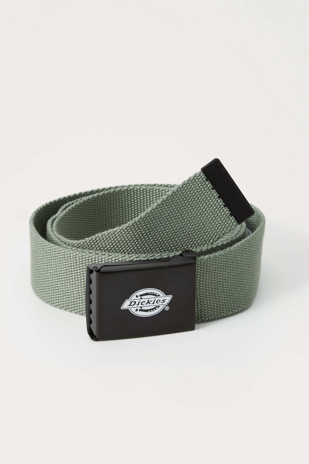 DICKIES DKAXEL  en color VERDE  (1)