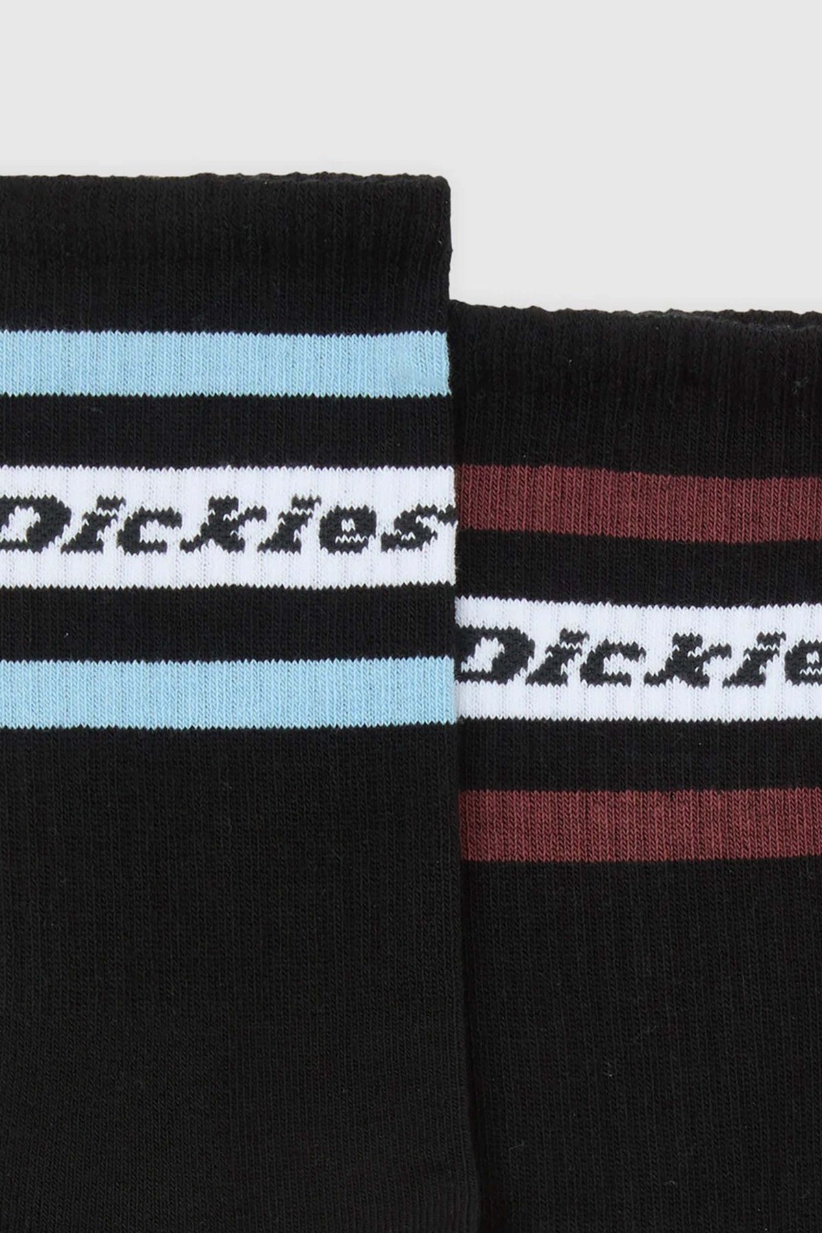 DICKIES DKAXDKL  en color NEGRO  (2)