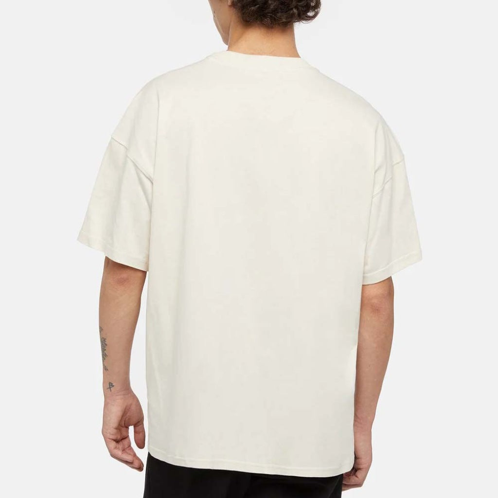 DICKIES DKAYRNF en color BLANCO  (5)