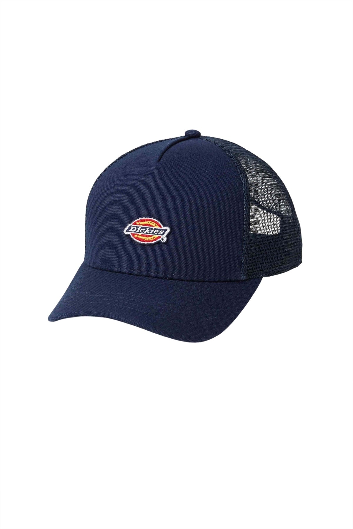 DICKIES DKAYVL en color AZUL  (1)