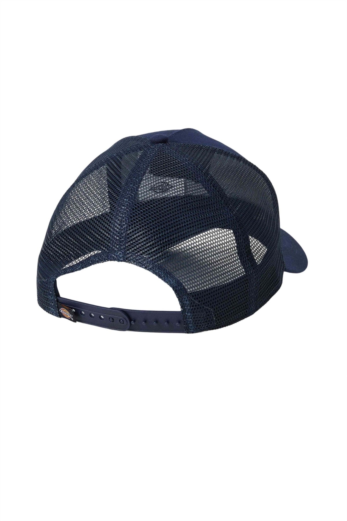 DICKIES DKAYVL en color AZUL  (2)