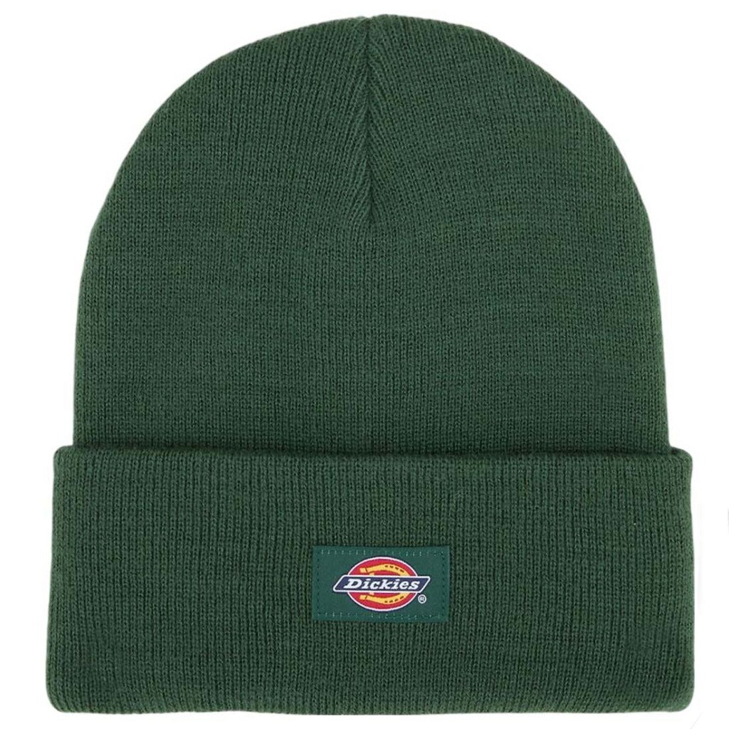 DICKIES DKAZRPIN en color VERDE  (4)