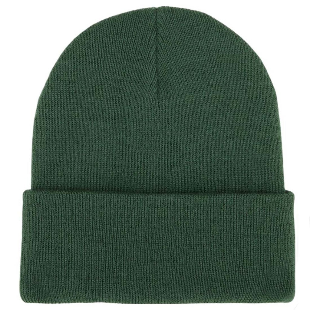 DICKIES DKAZRPIN en color VERDE  (5)