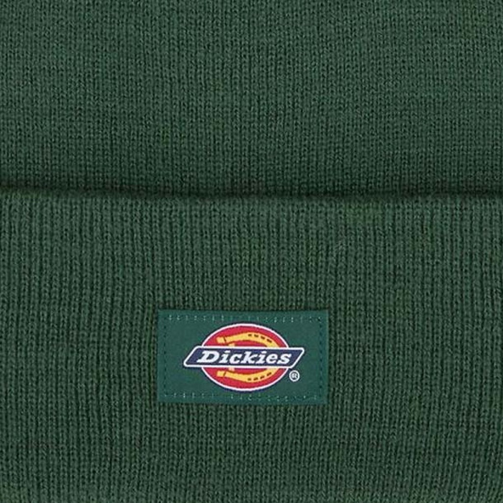 DICKIES DKAZRPIN en color VERDE  (6)