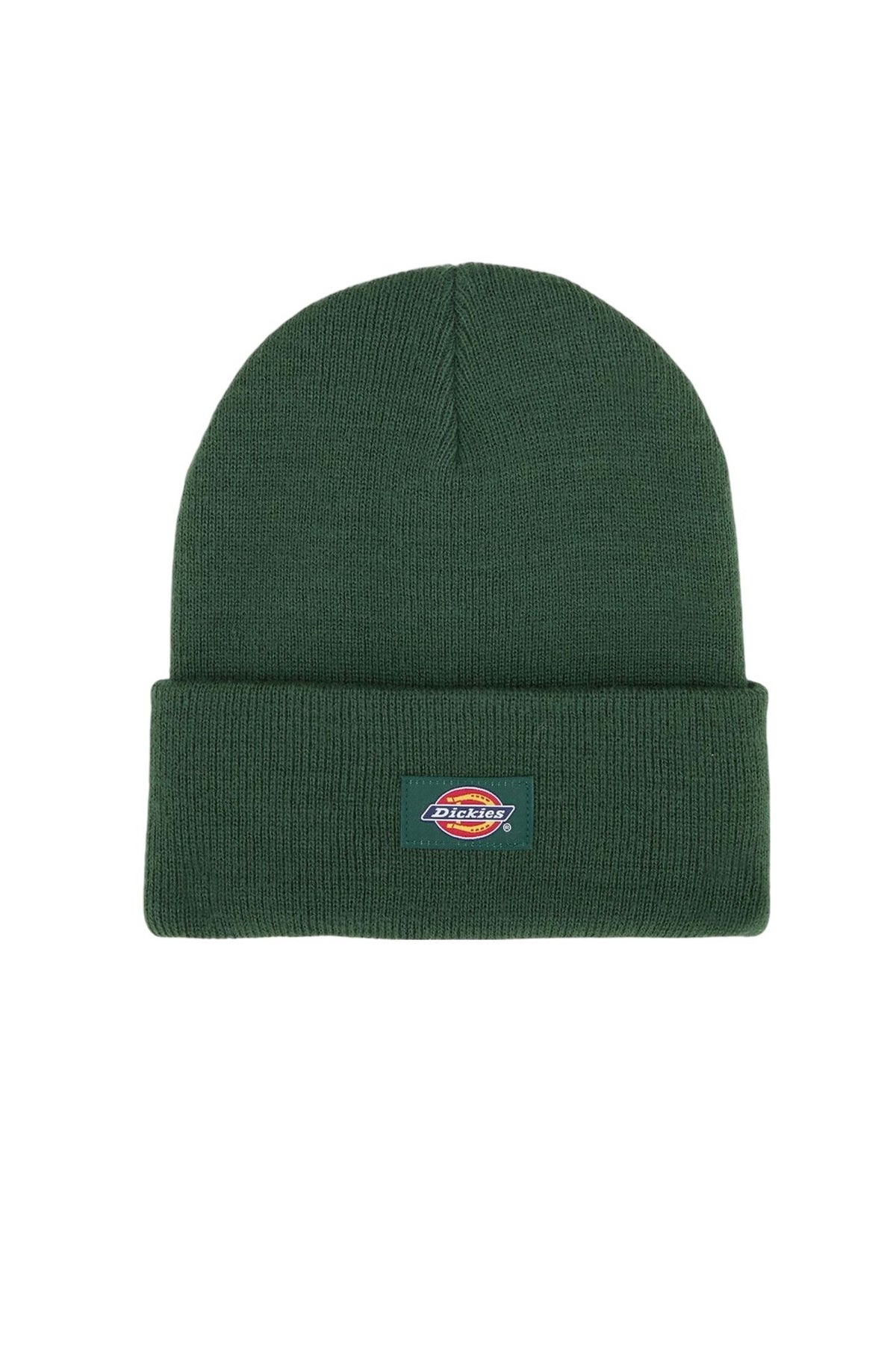 DICKIES DKAZRPIN en color VERDE  (1)