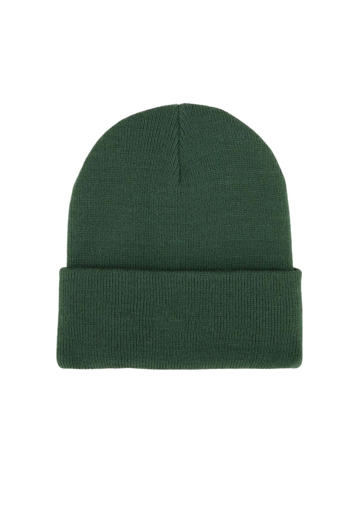 DICKIES DKAZRPIN en color VERDE  (2)