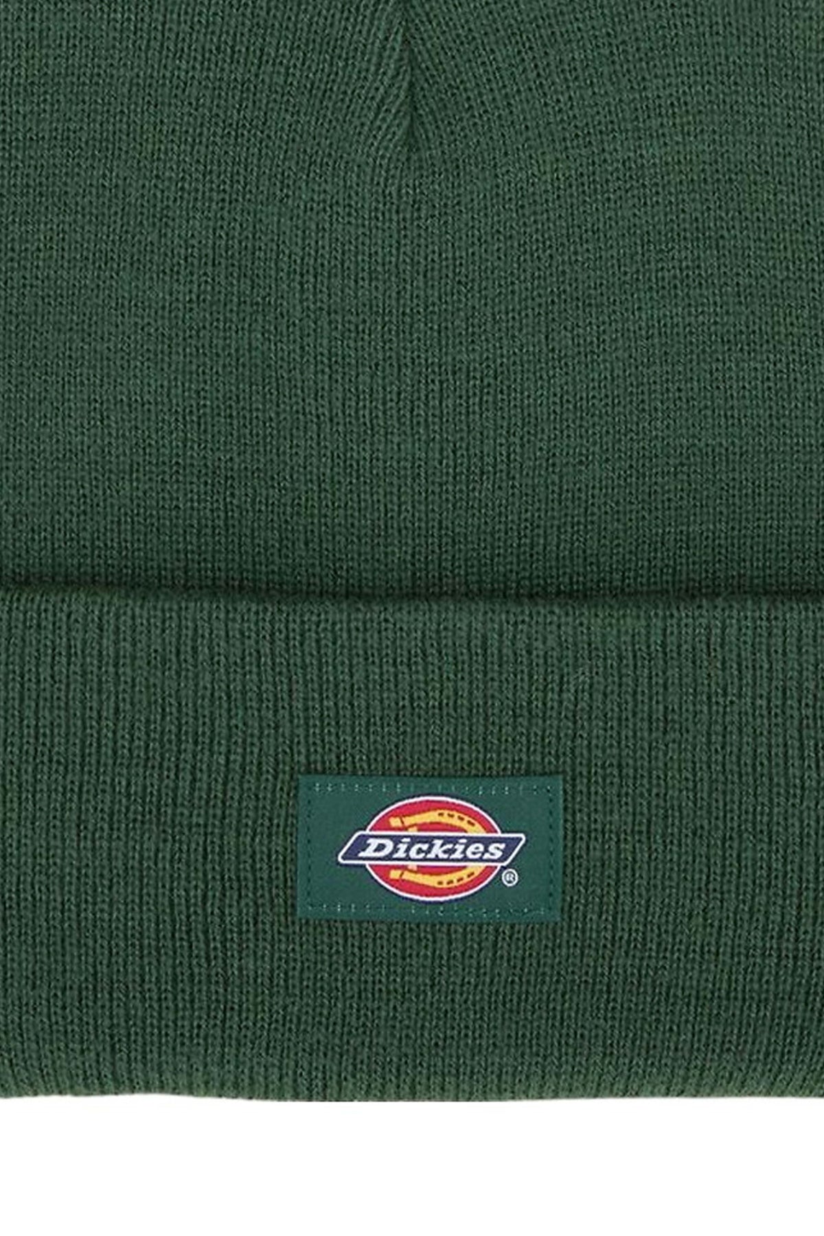 DICKIES DKAZRPIN en color VERDE  (3)