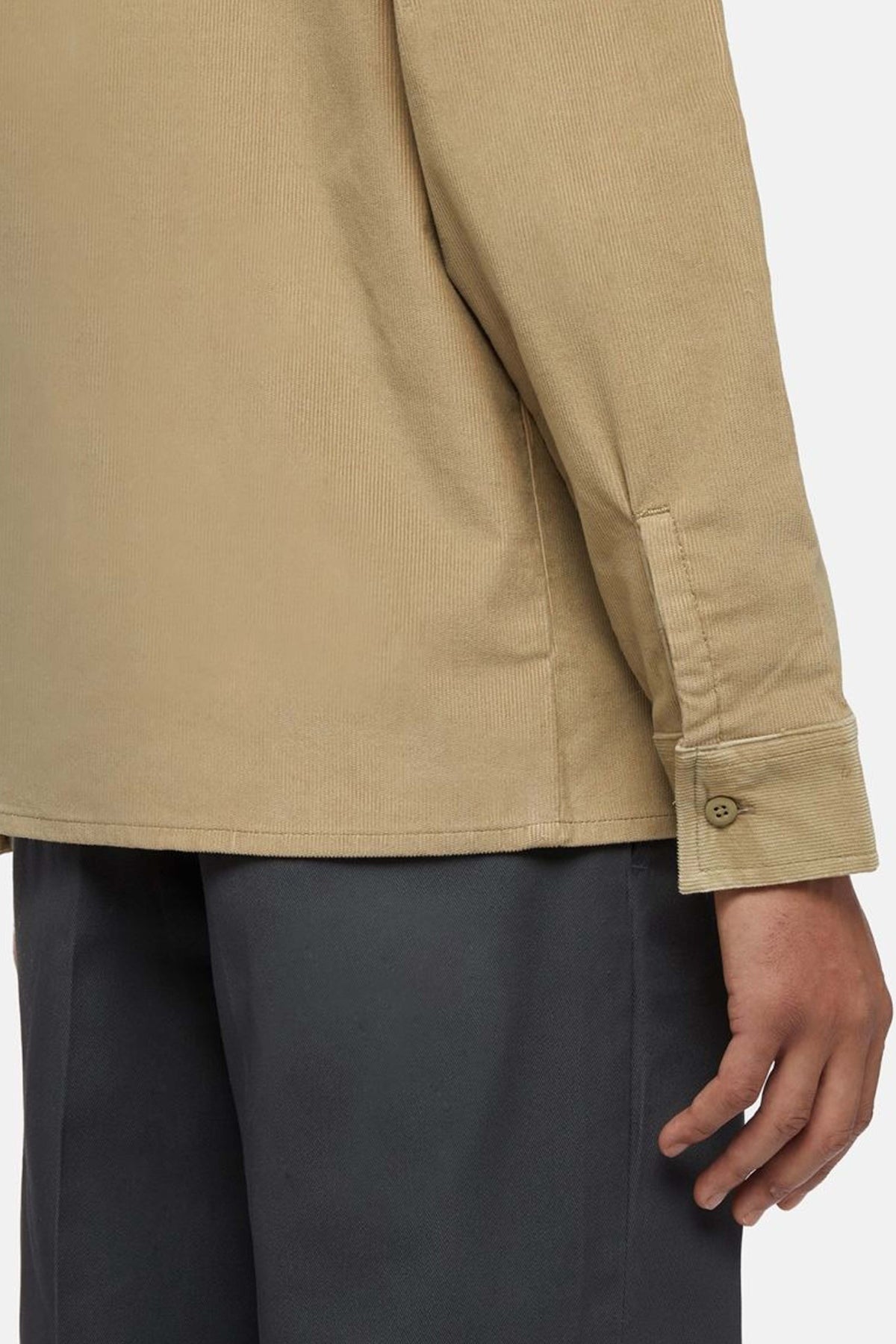 DICKIES DKAKHK  en color BEIS  (4)