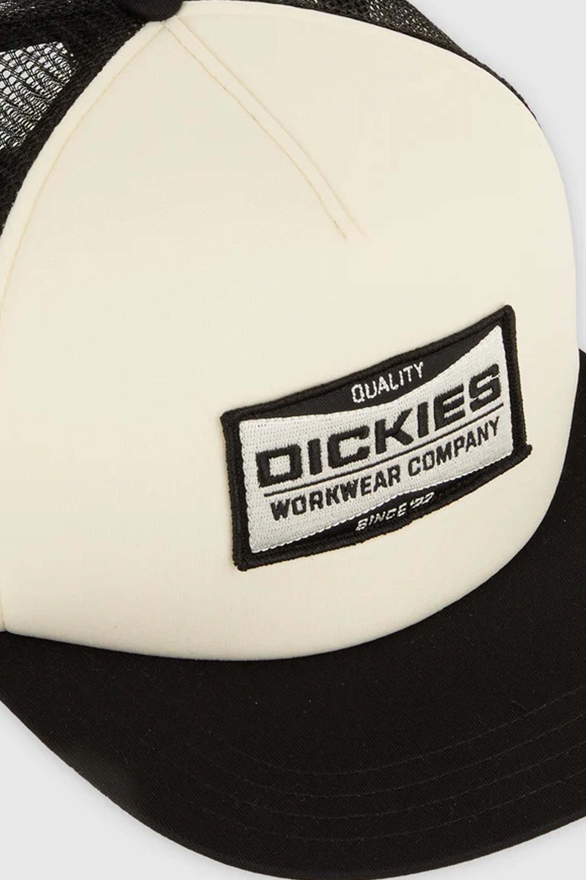 DICKIES DKANCBLK  en color BEIS  (5)