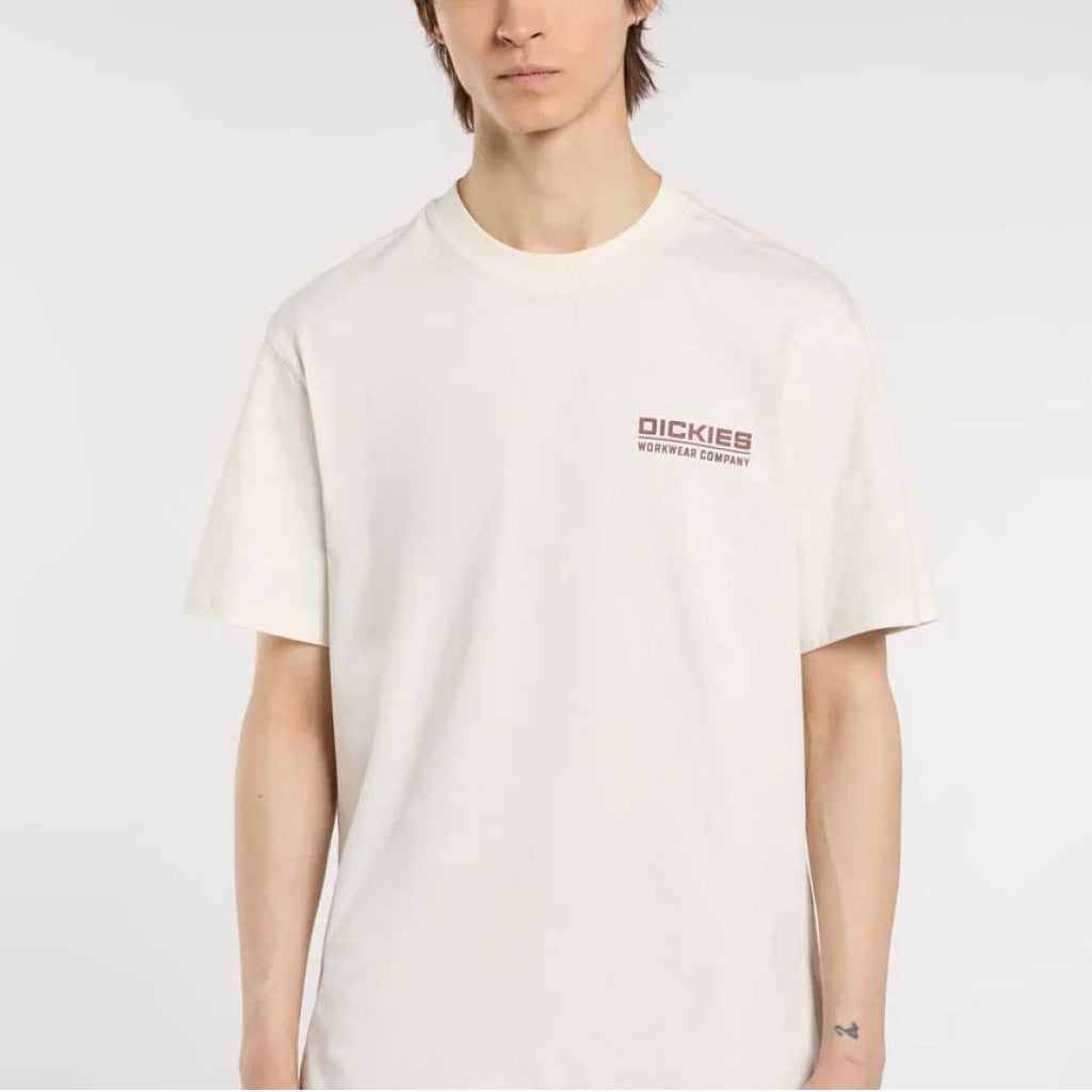 DICKIES DKAQKC en color BEIS  (4)
