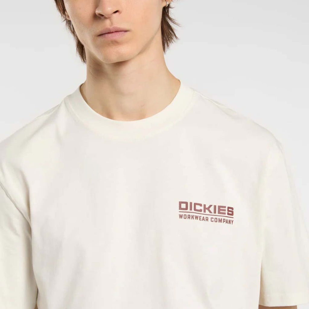 DICKIES DKAQKC en color BEIS  (6)