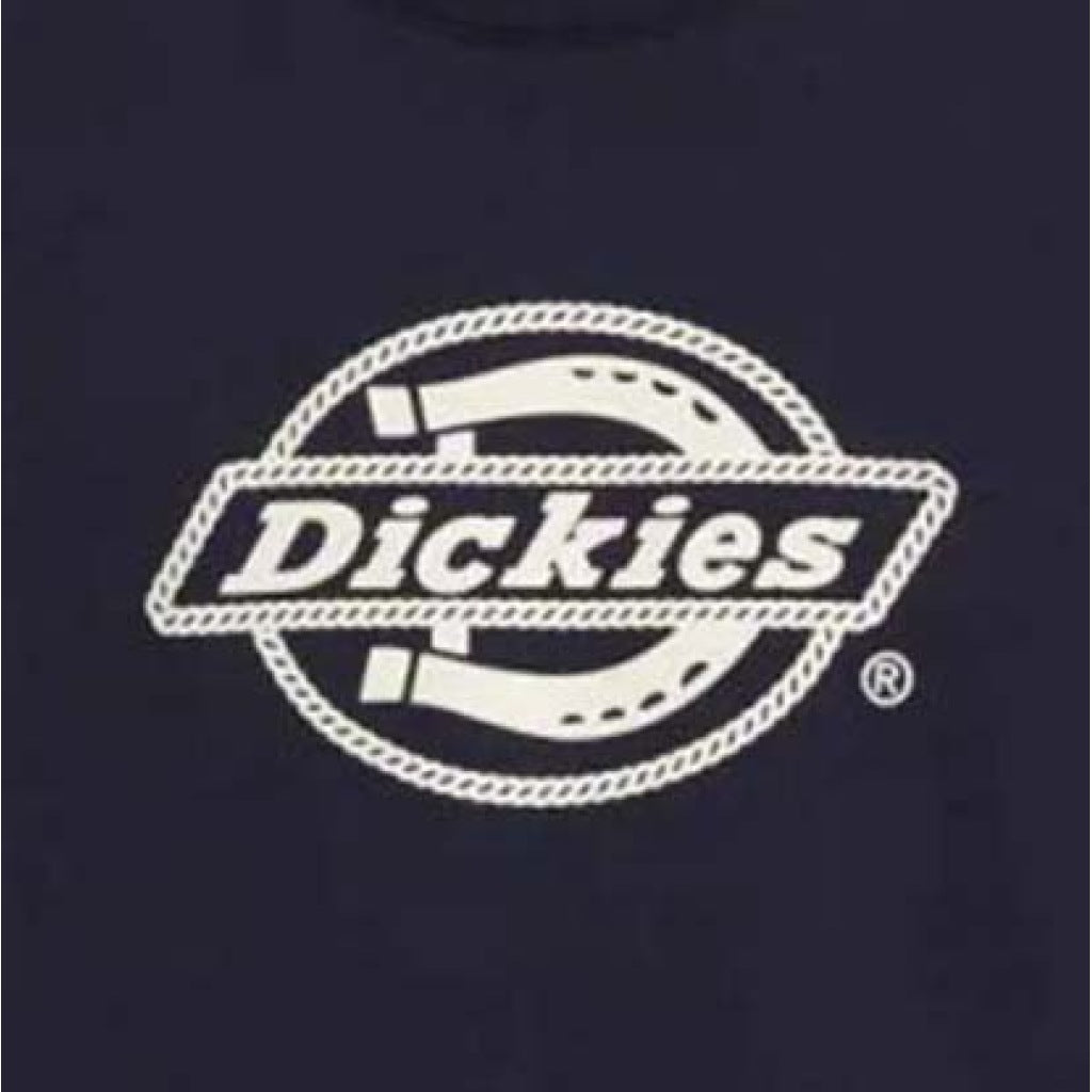 DICKIES DKAQSL  en color AZUL  (6)