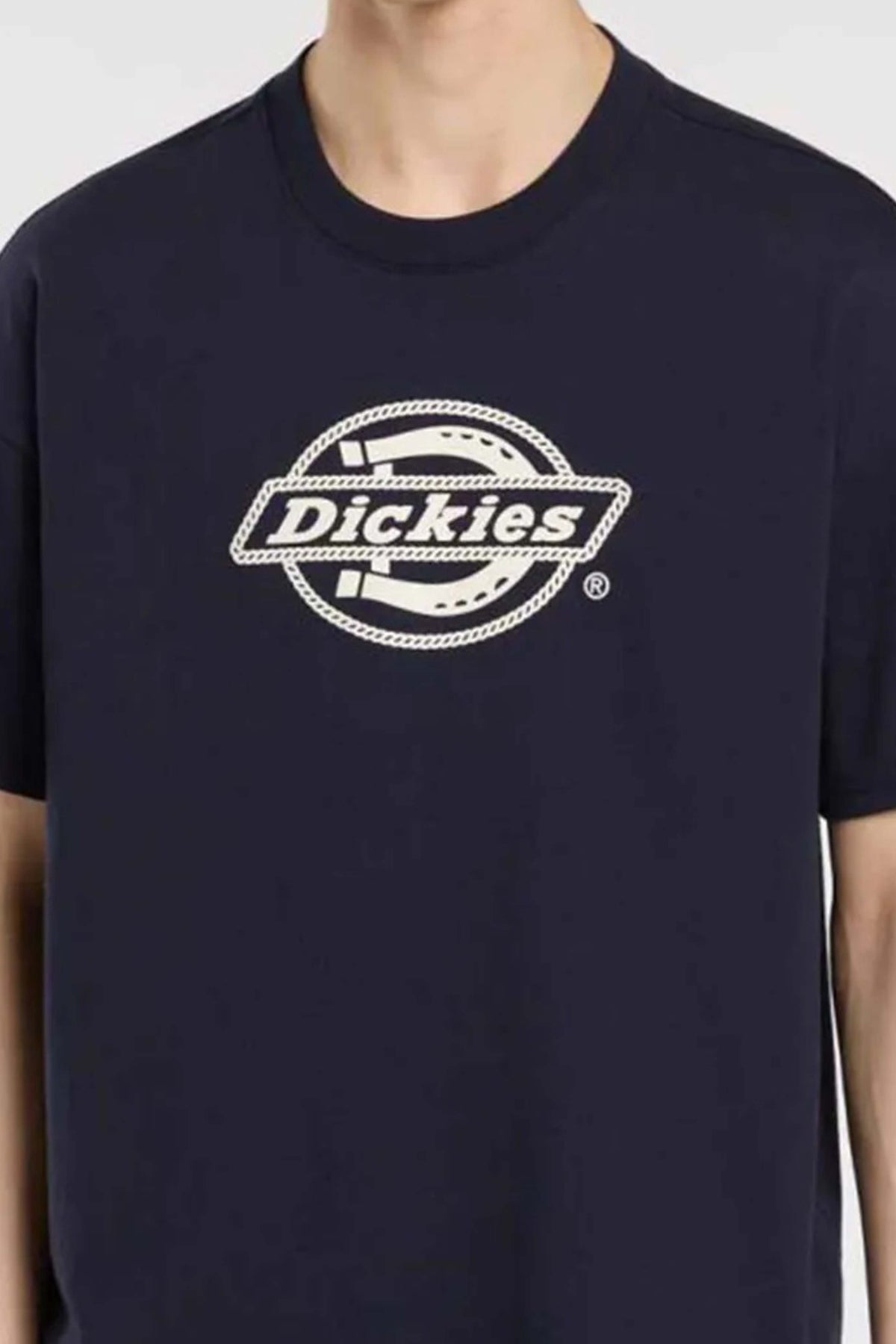 DICKIES DKAQSL  en color AZUL  (2)