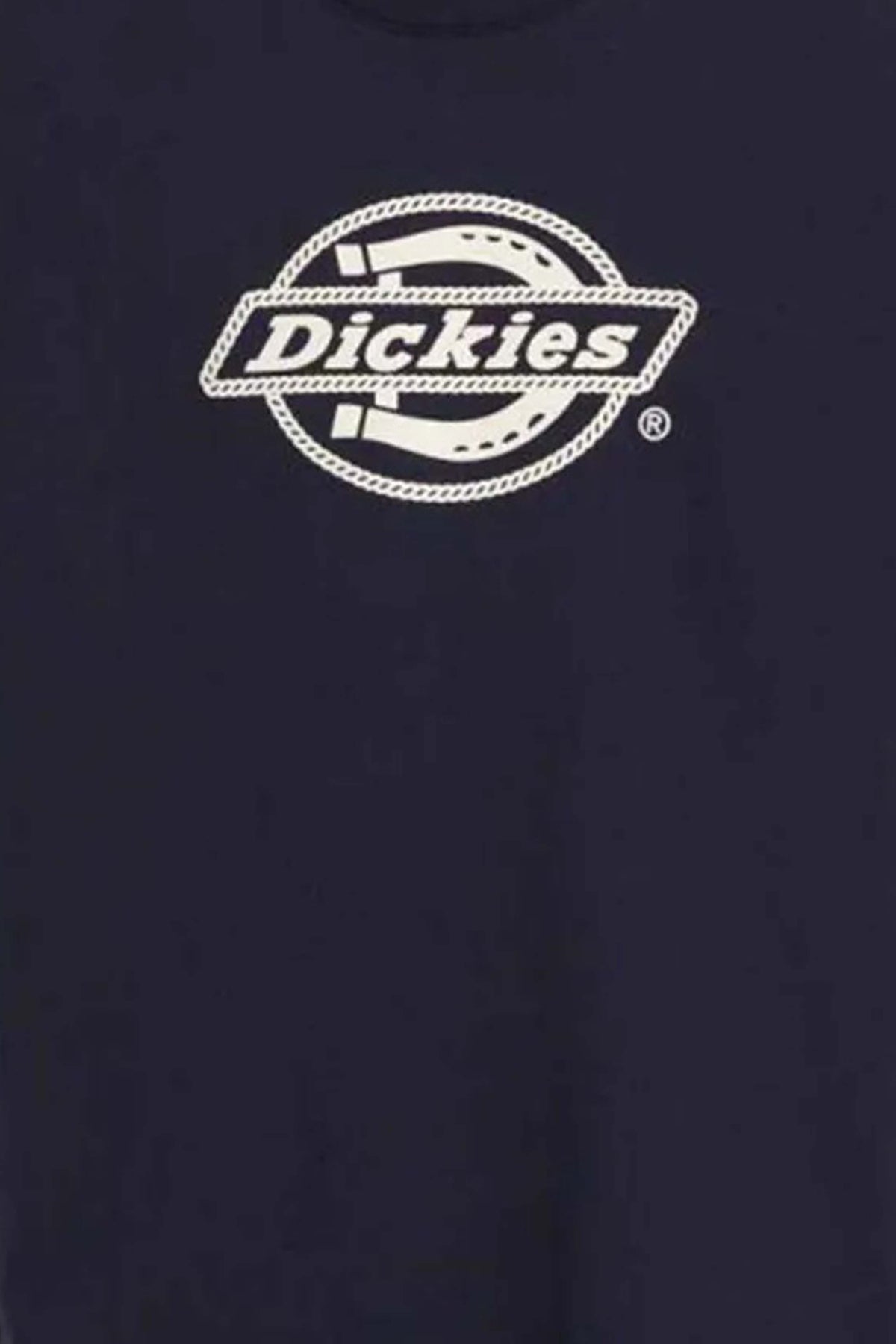 DICKIES DKAQSL  en color AZUL  (3)