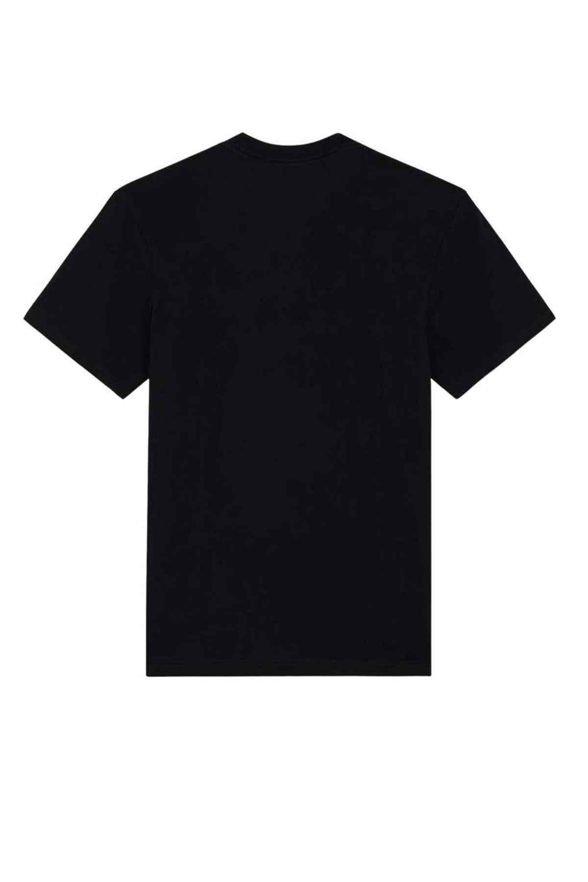 DICKIES DKAXUCBLK en color NEGRO  (2)